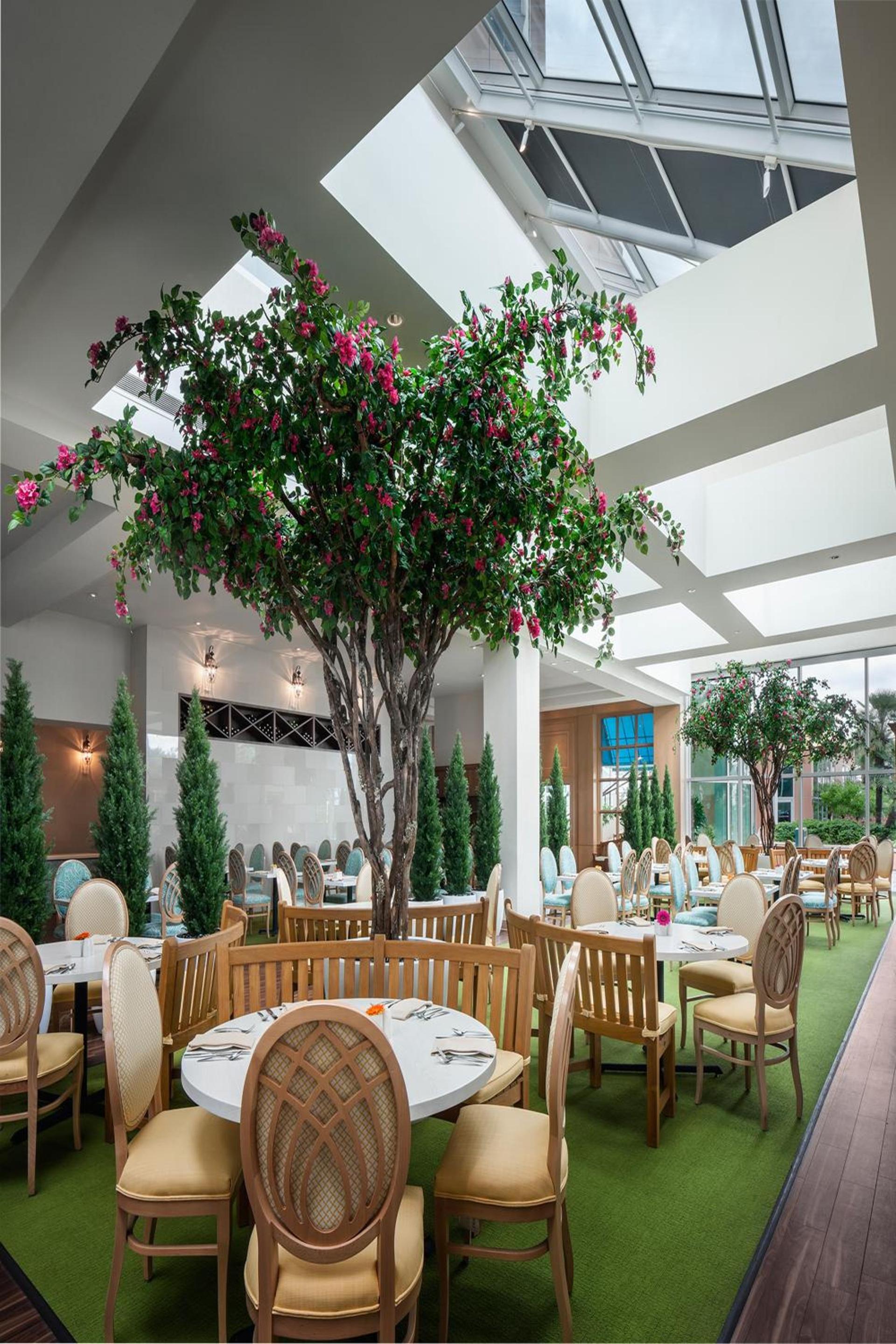 Moody Gardens Hotel Spa and Convention Center photo 42