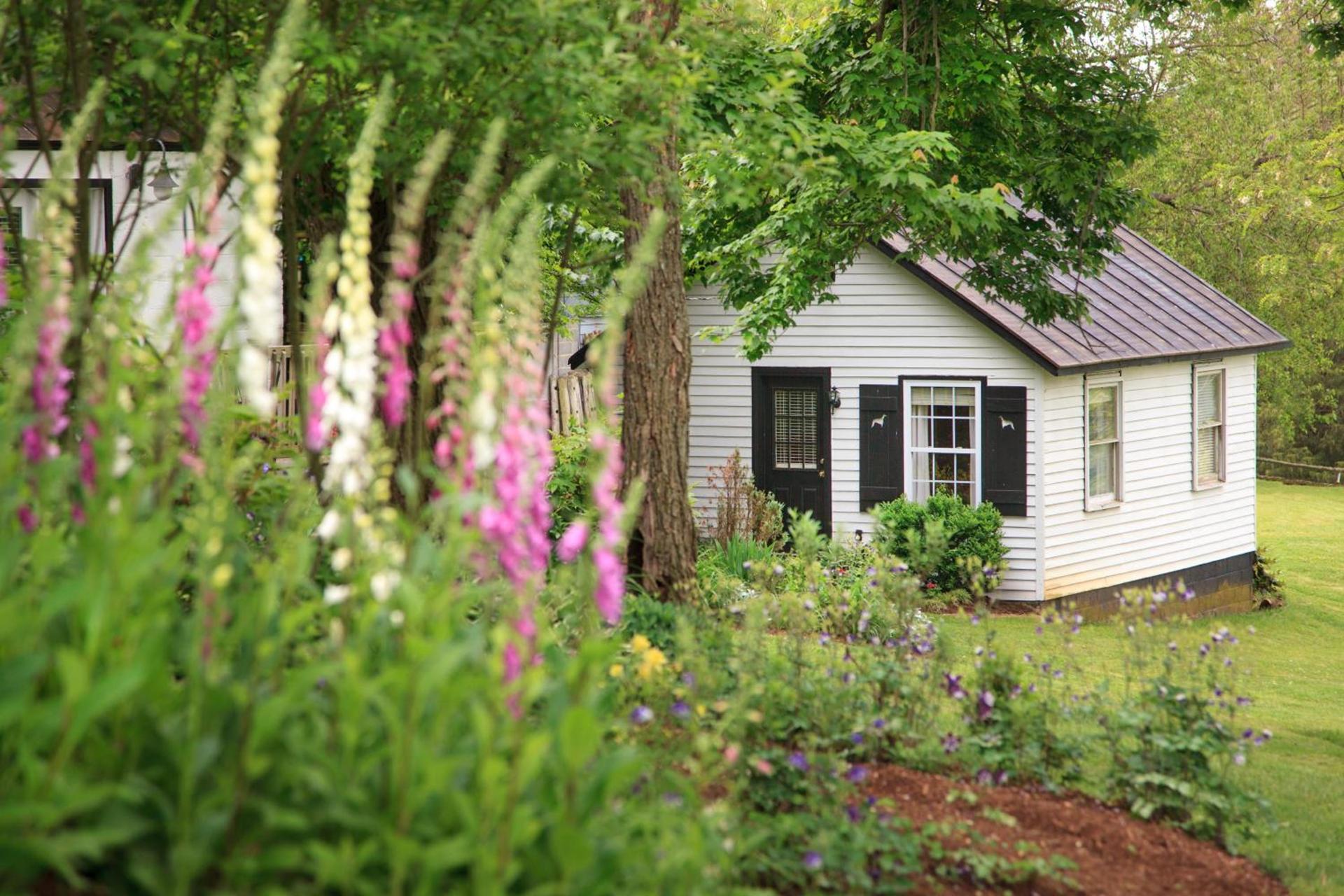 The Estate at Meander photo 55