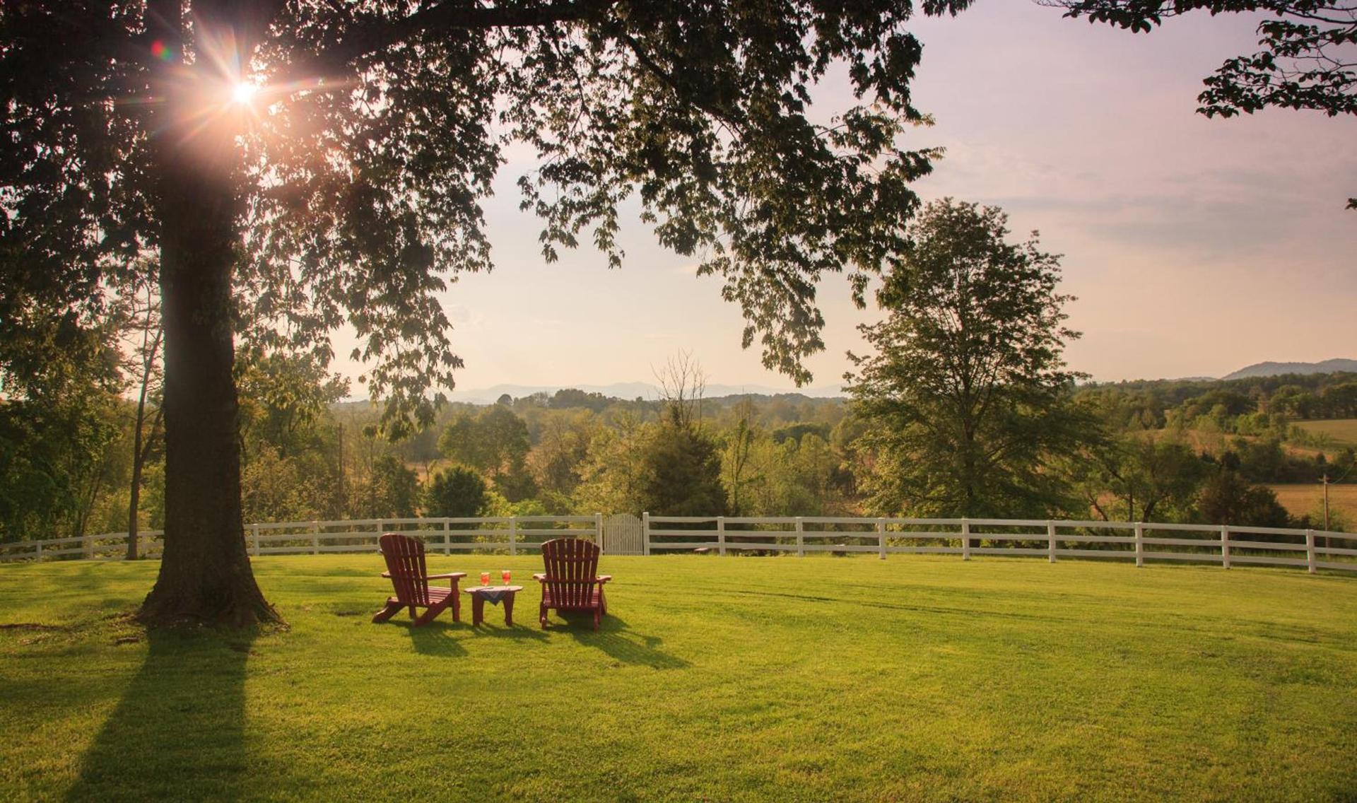 The Estate at Meander photo 65