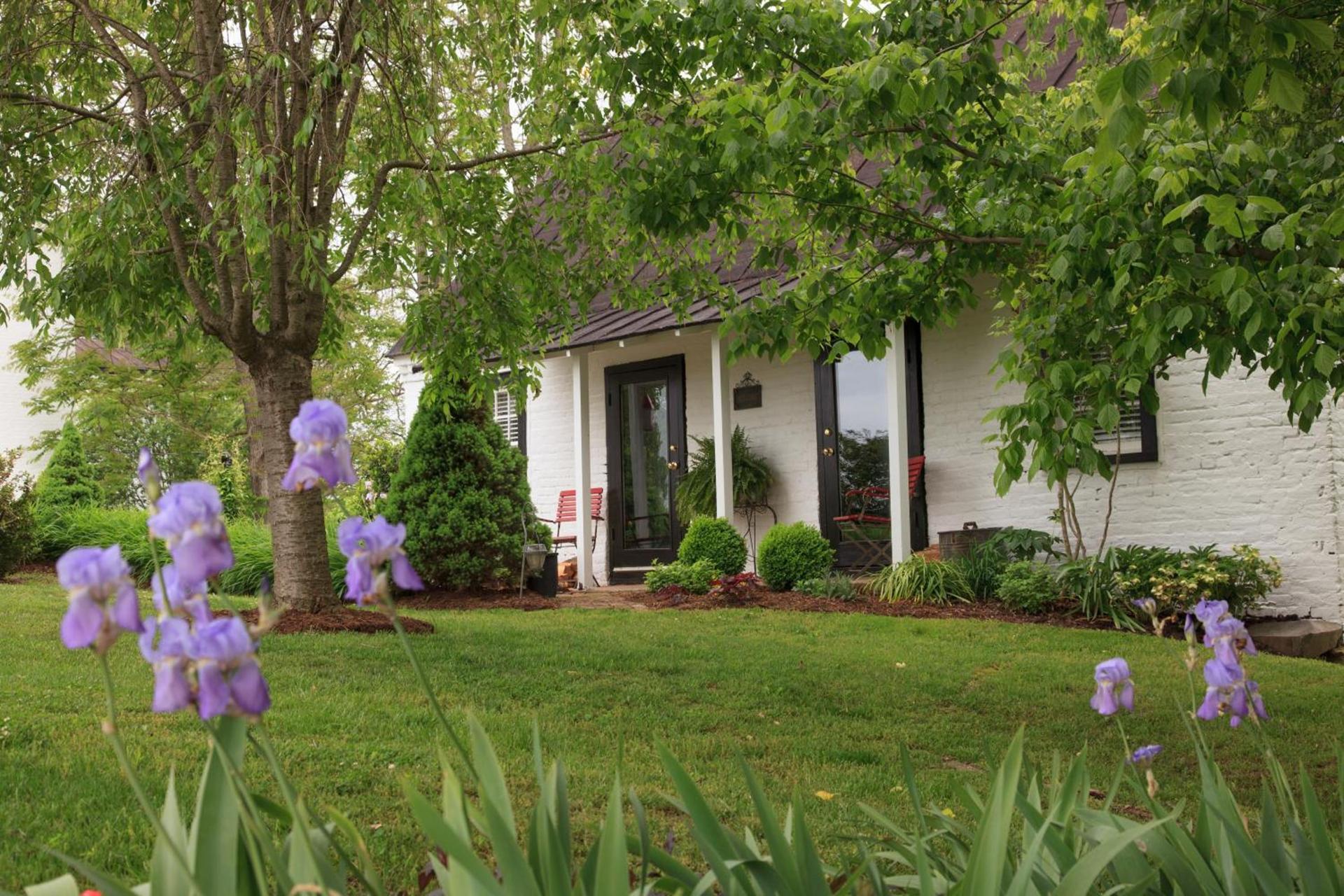 The Estate at Meander photo 5
