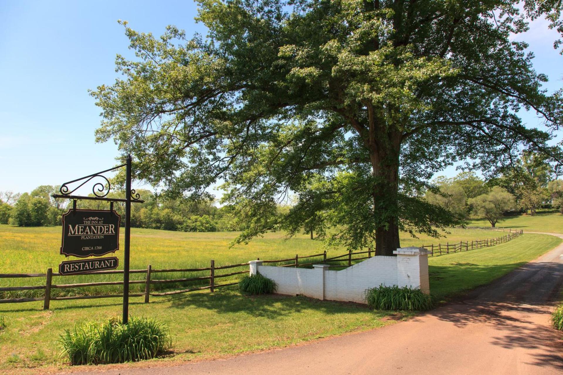 The Estate at Meander photo 18