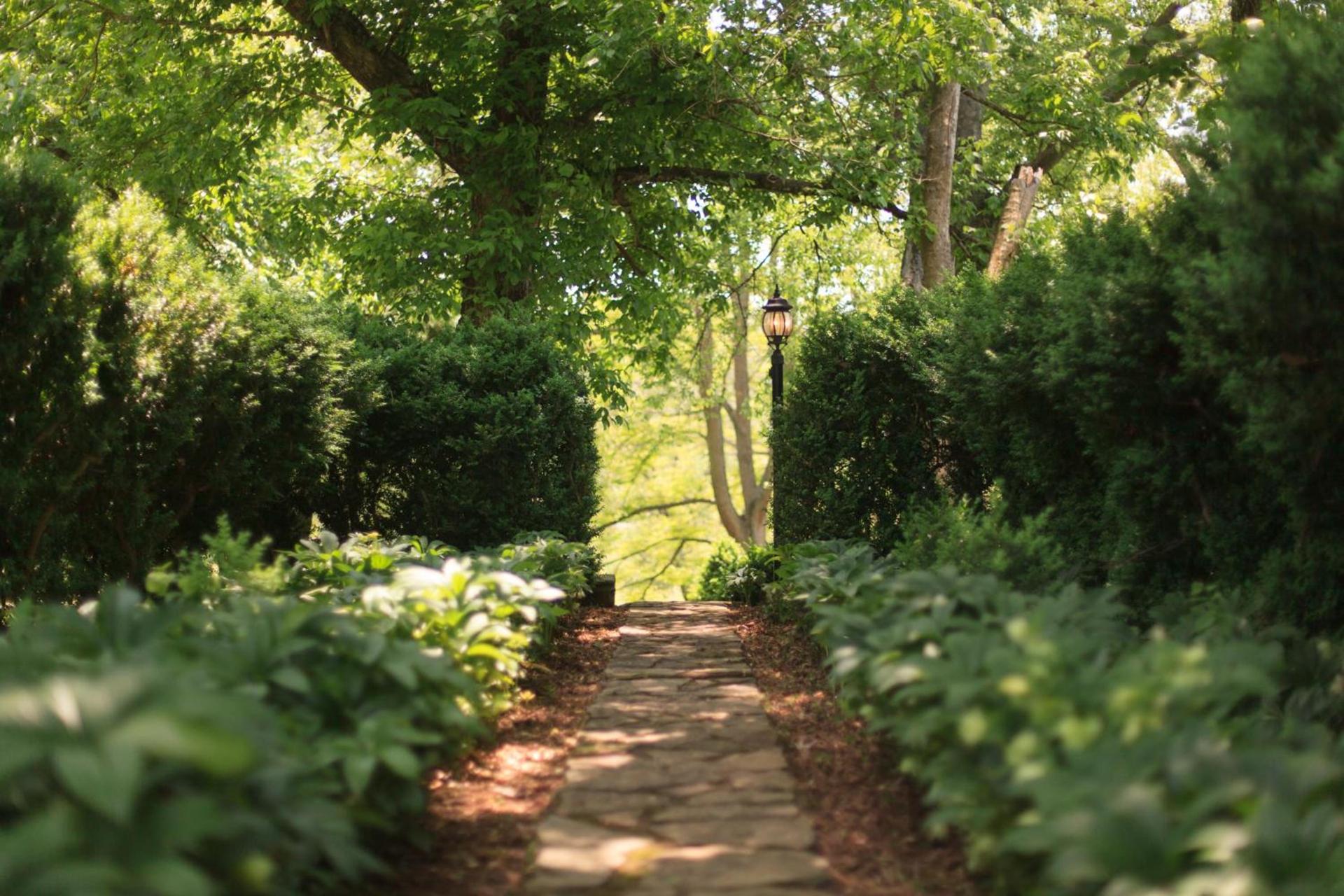 The Estate at Meander photo 21