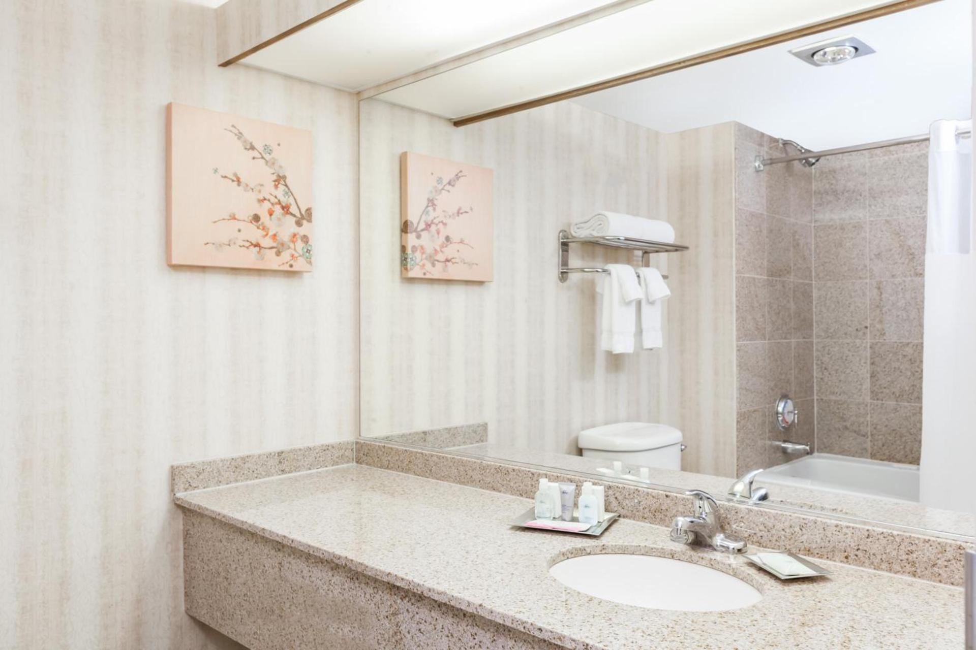 Wyndham Indianapolis Airport photo 36
