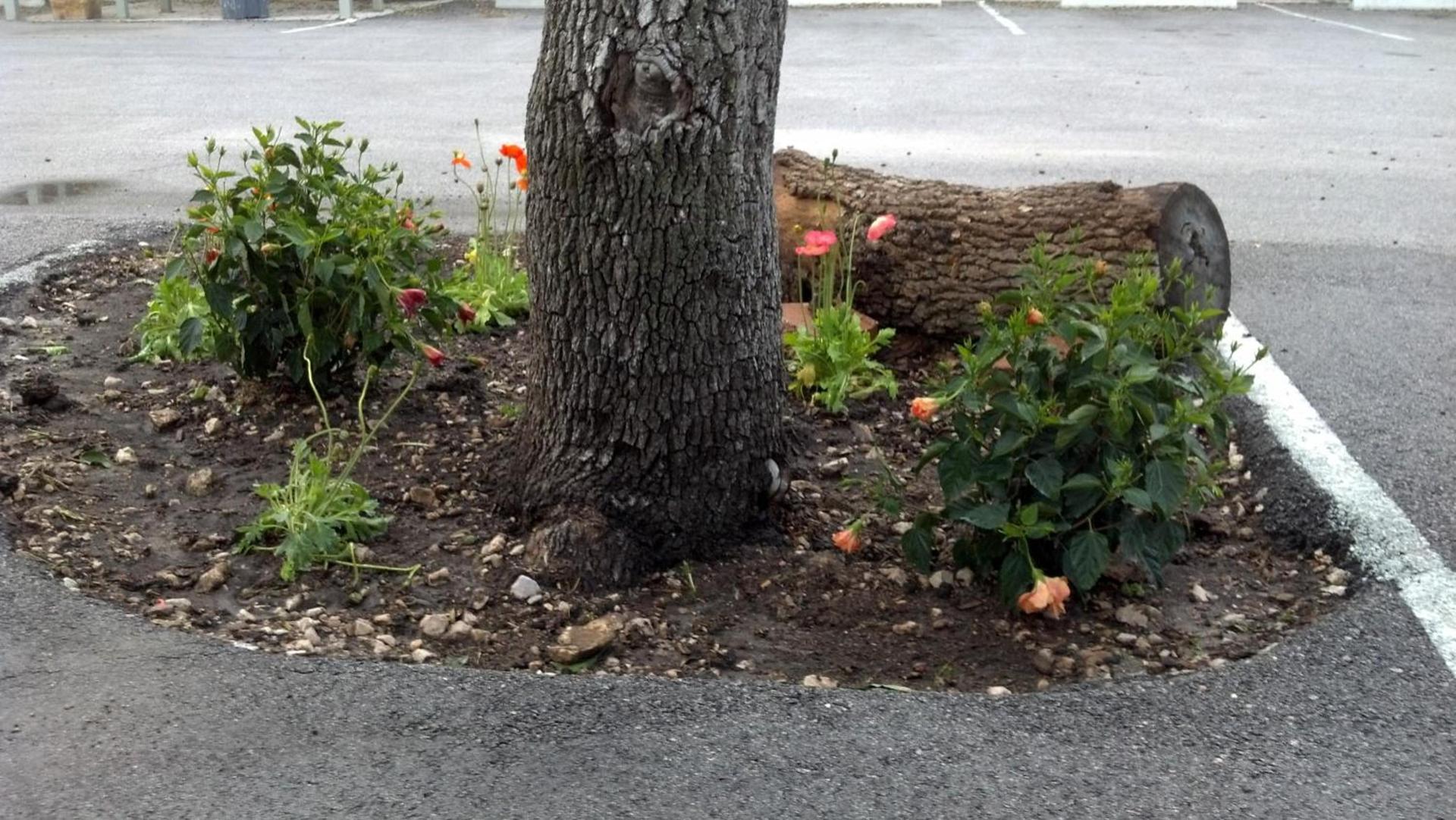 Cedar Creek Inn photo 39