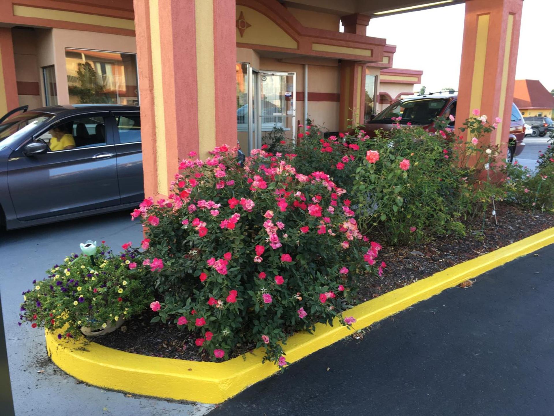 Americas Best Value Inn & Suites Williamstown photo 3