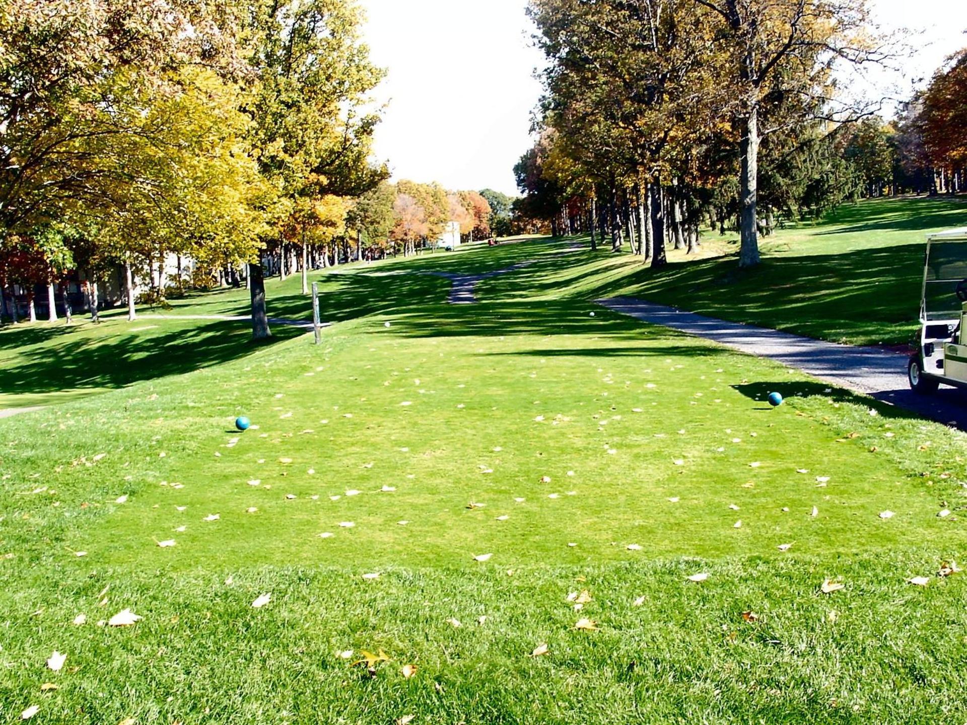 Lakeview Golf Resort photo 67