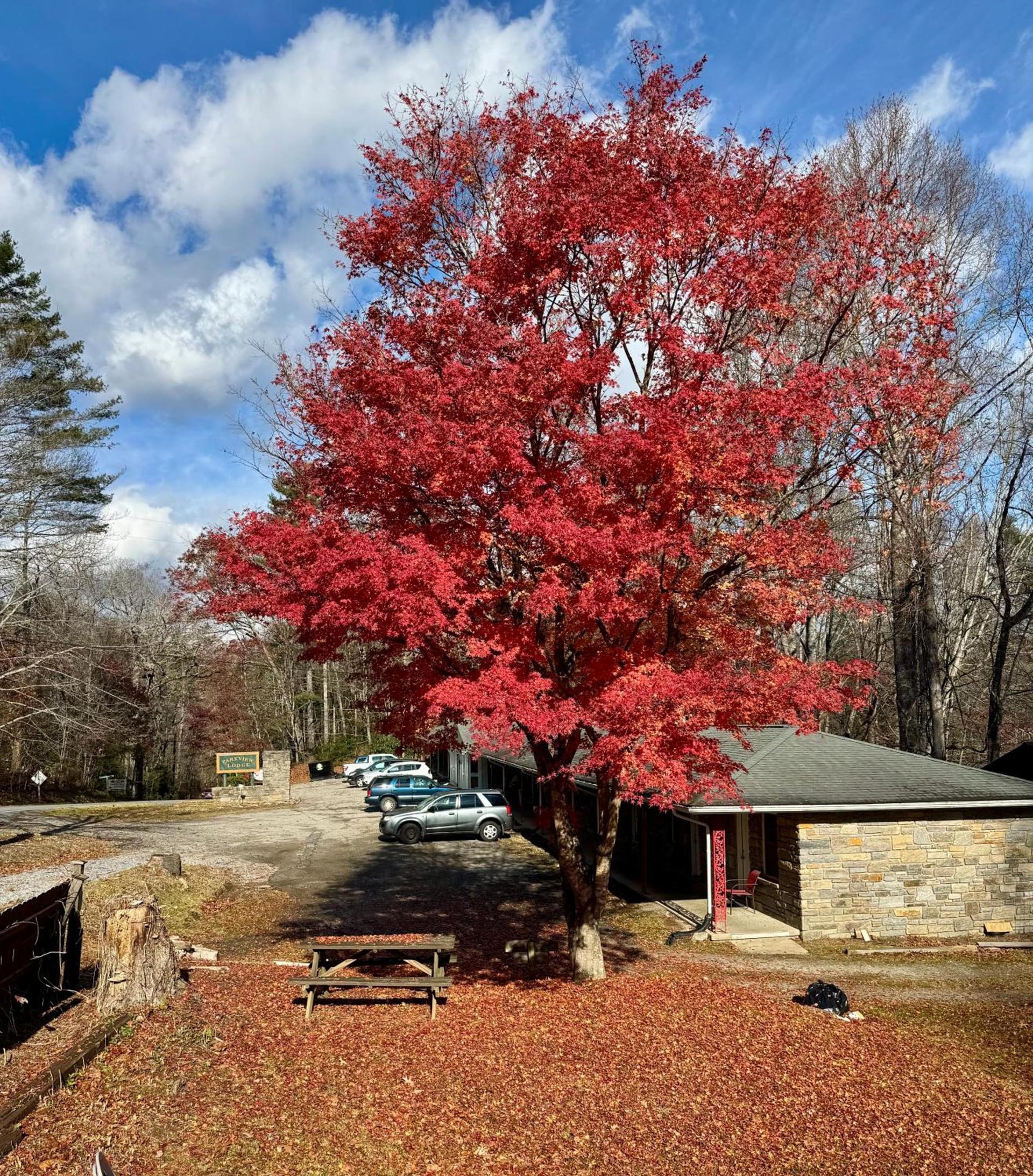 Parkview Lodge & Cabins photo 40