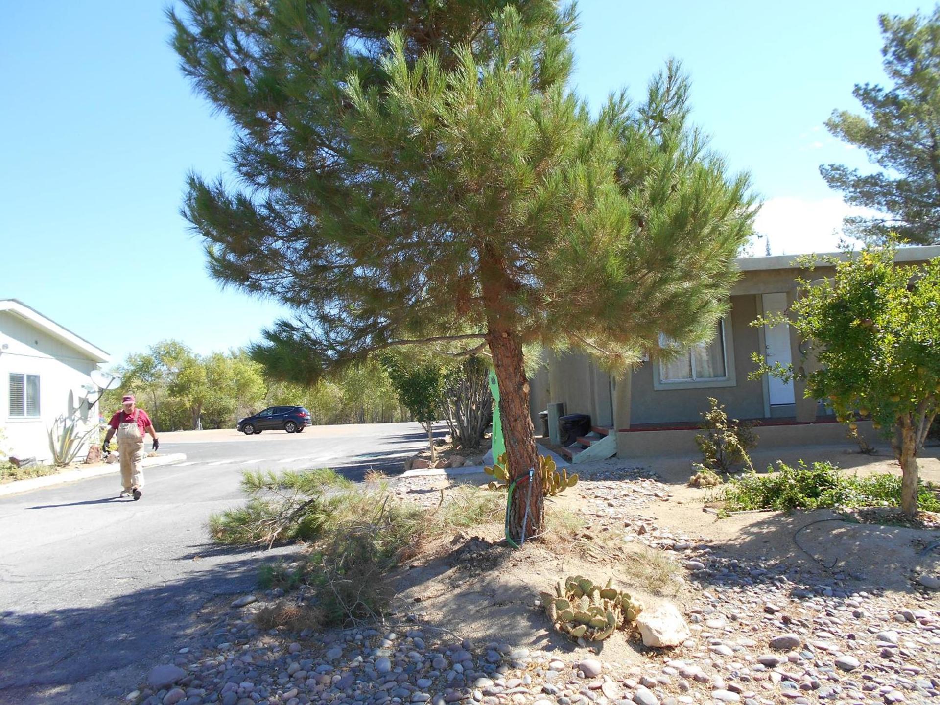 Atomic Inn Beatty Near Death Valley photo 25