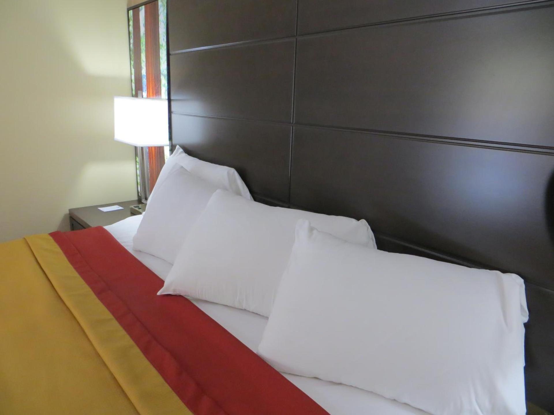Muir Woods Lodge photo 28