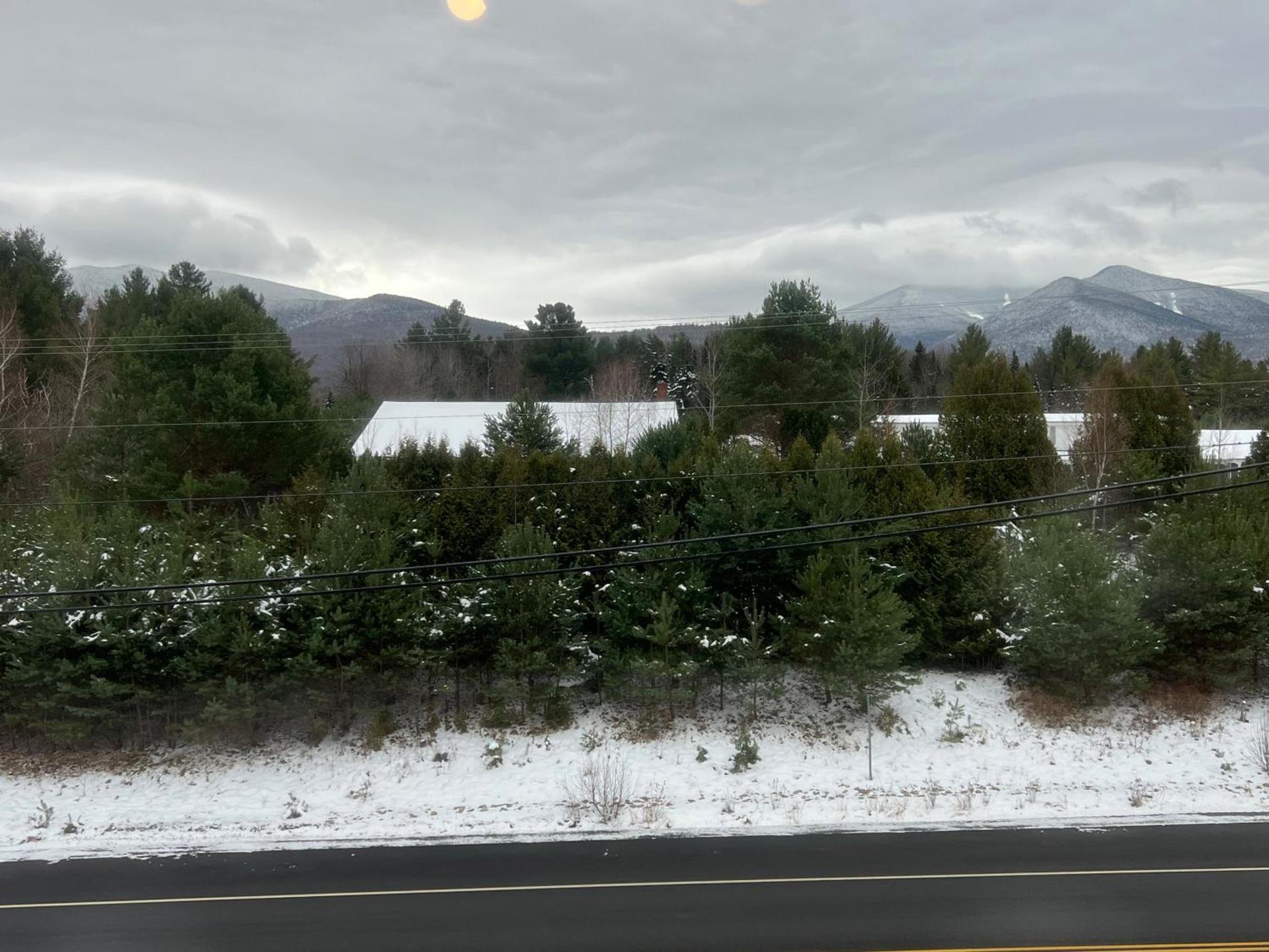 Allegory Inn photo 4