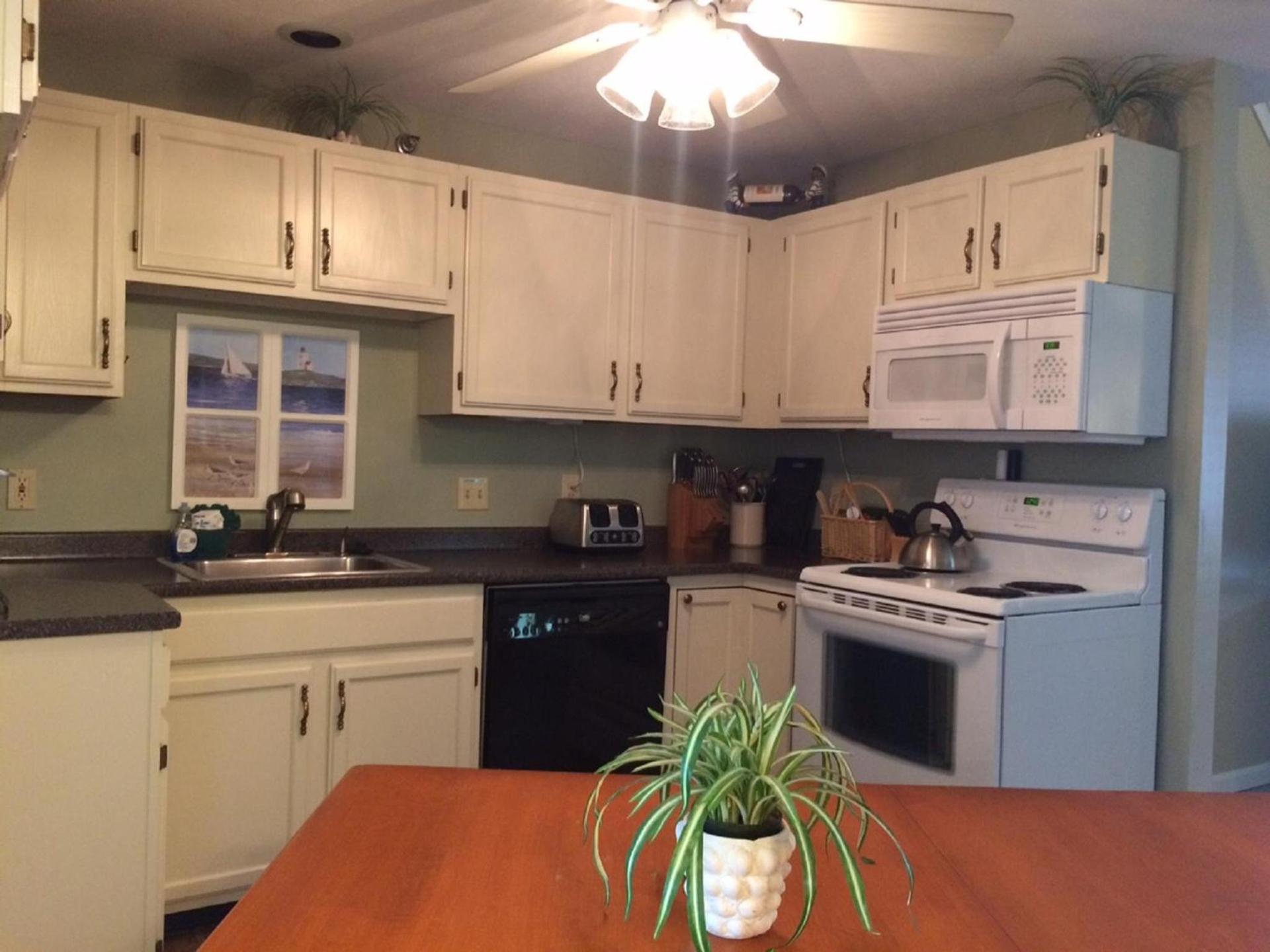 Elmwood Resort Hotel photo 36