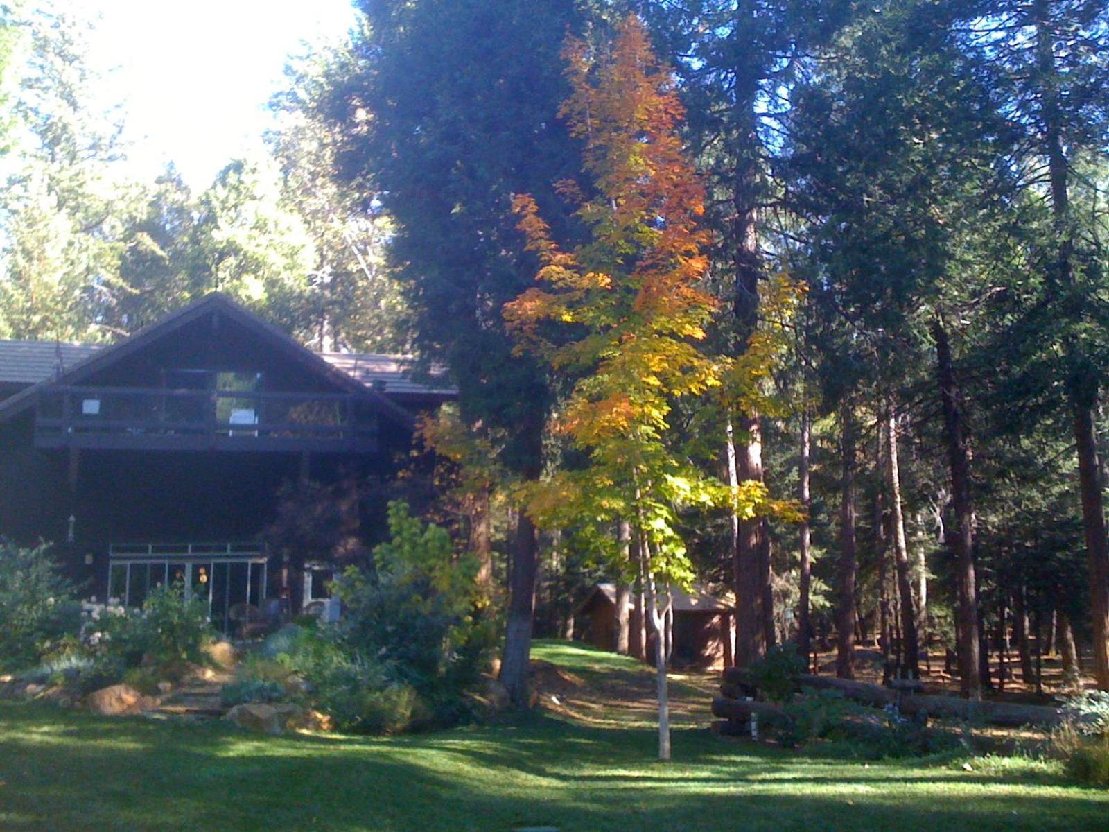 Harmony Ridge Lodge photo 5