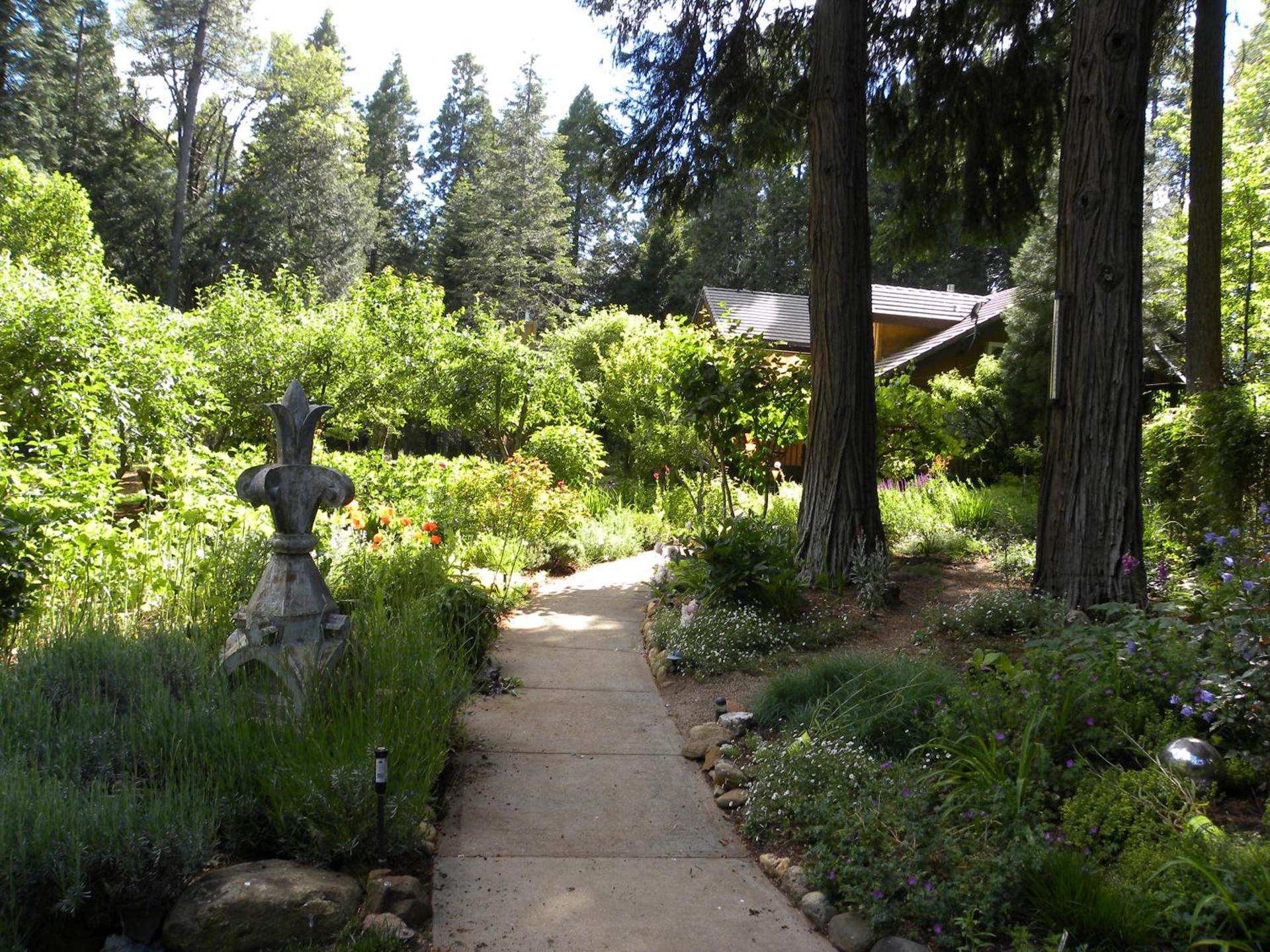 Harmony Ridge Lodge photo 6