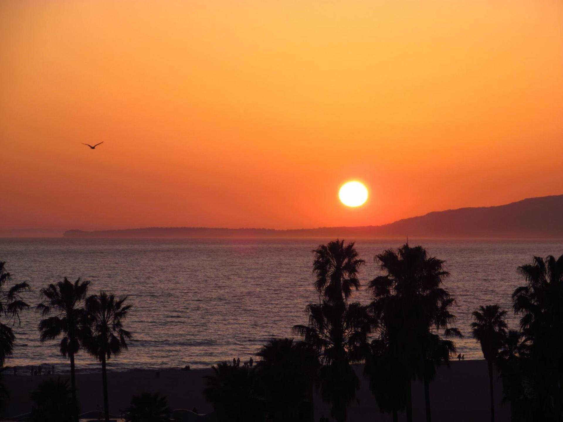 Venice Beach Hostel photo 23