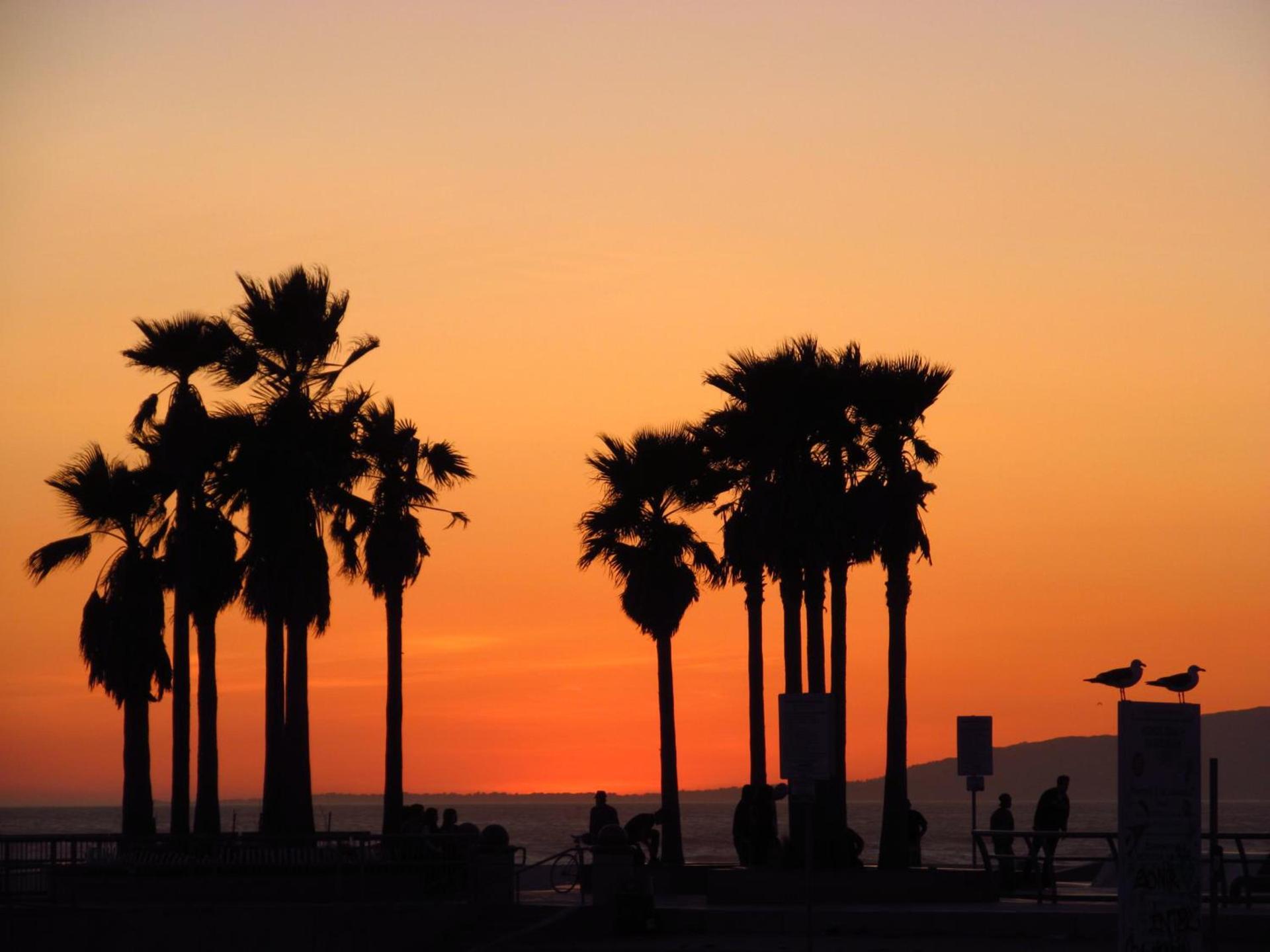 Venice Beach Hostel photo 31