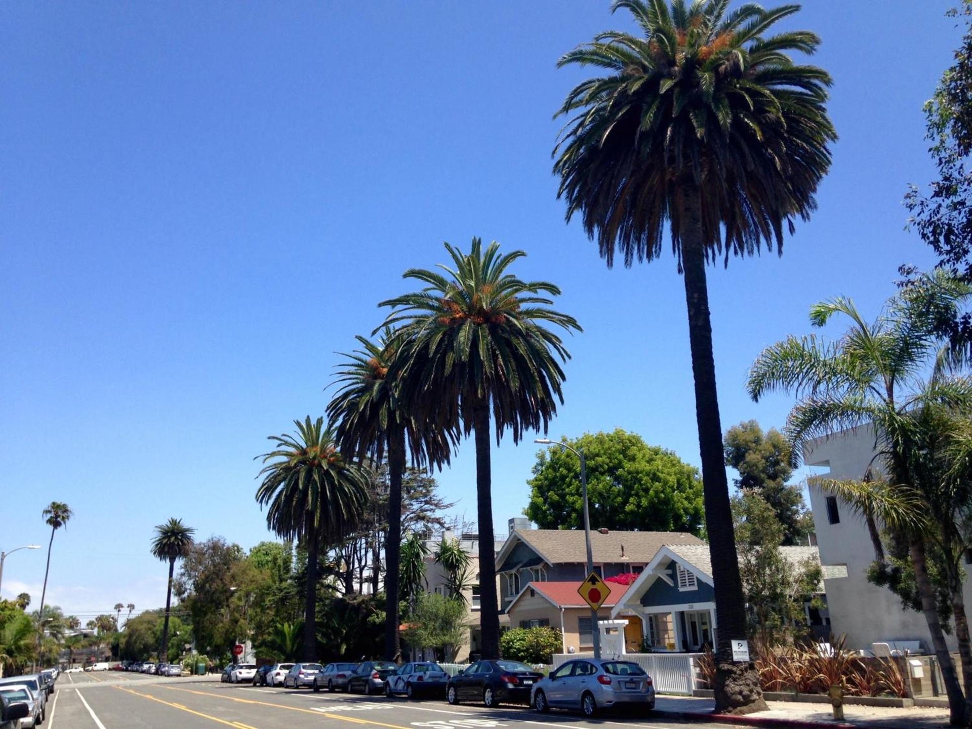 Venice Beach Hostel photo 36