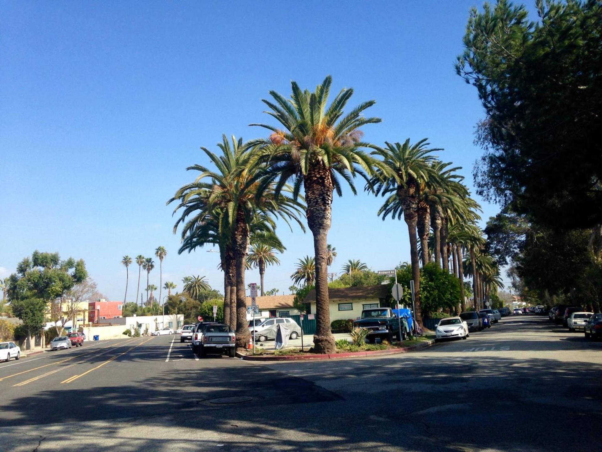 Venice Beach Hostel photo 40