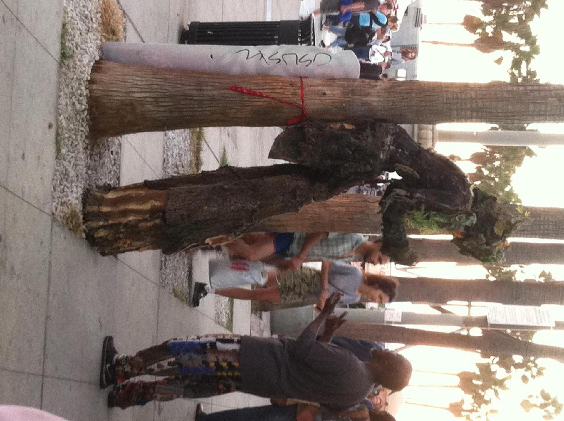 Venice Beach Hostel photo 96