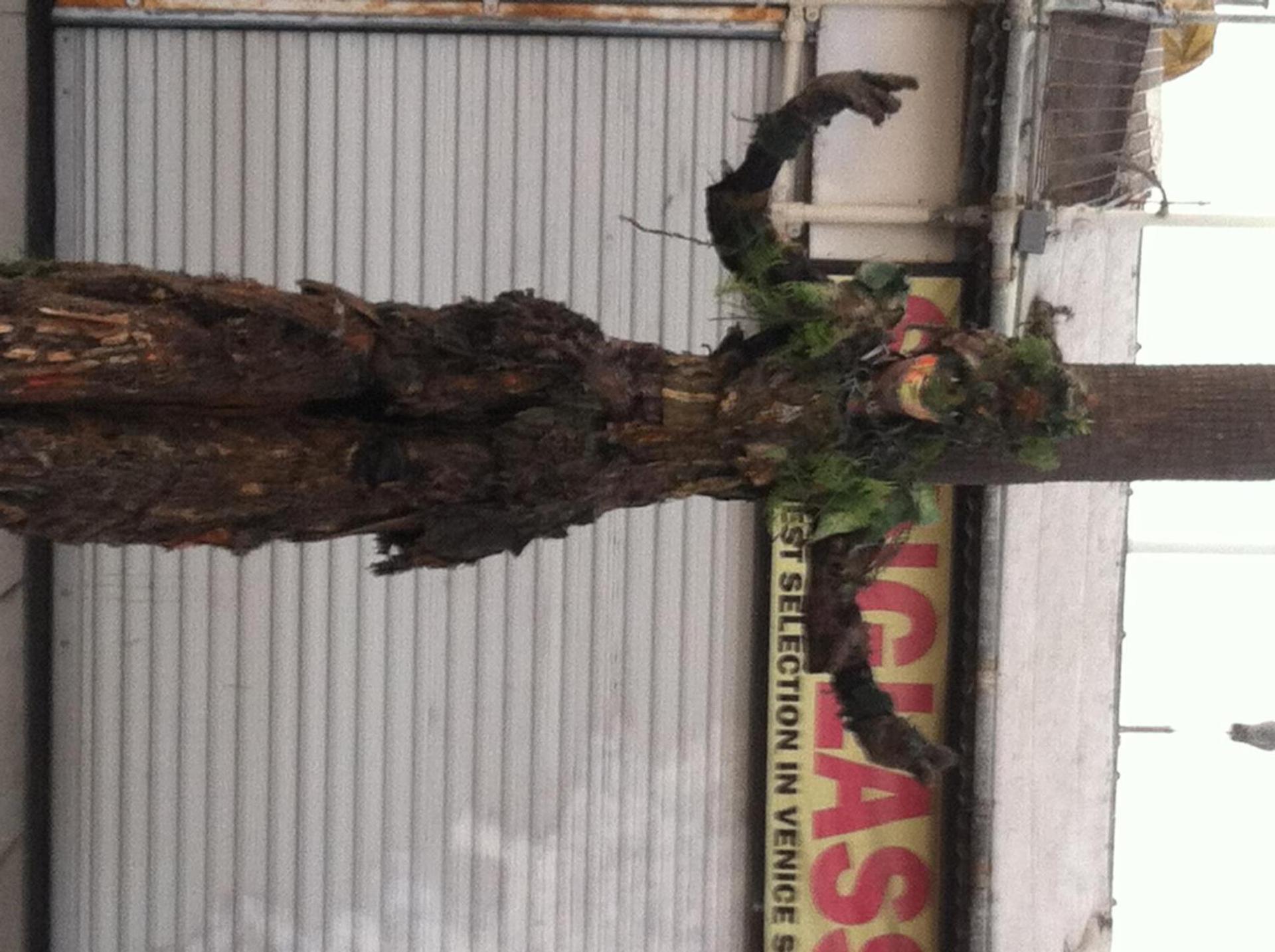 Venice Beach Hostel photo 97