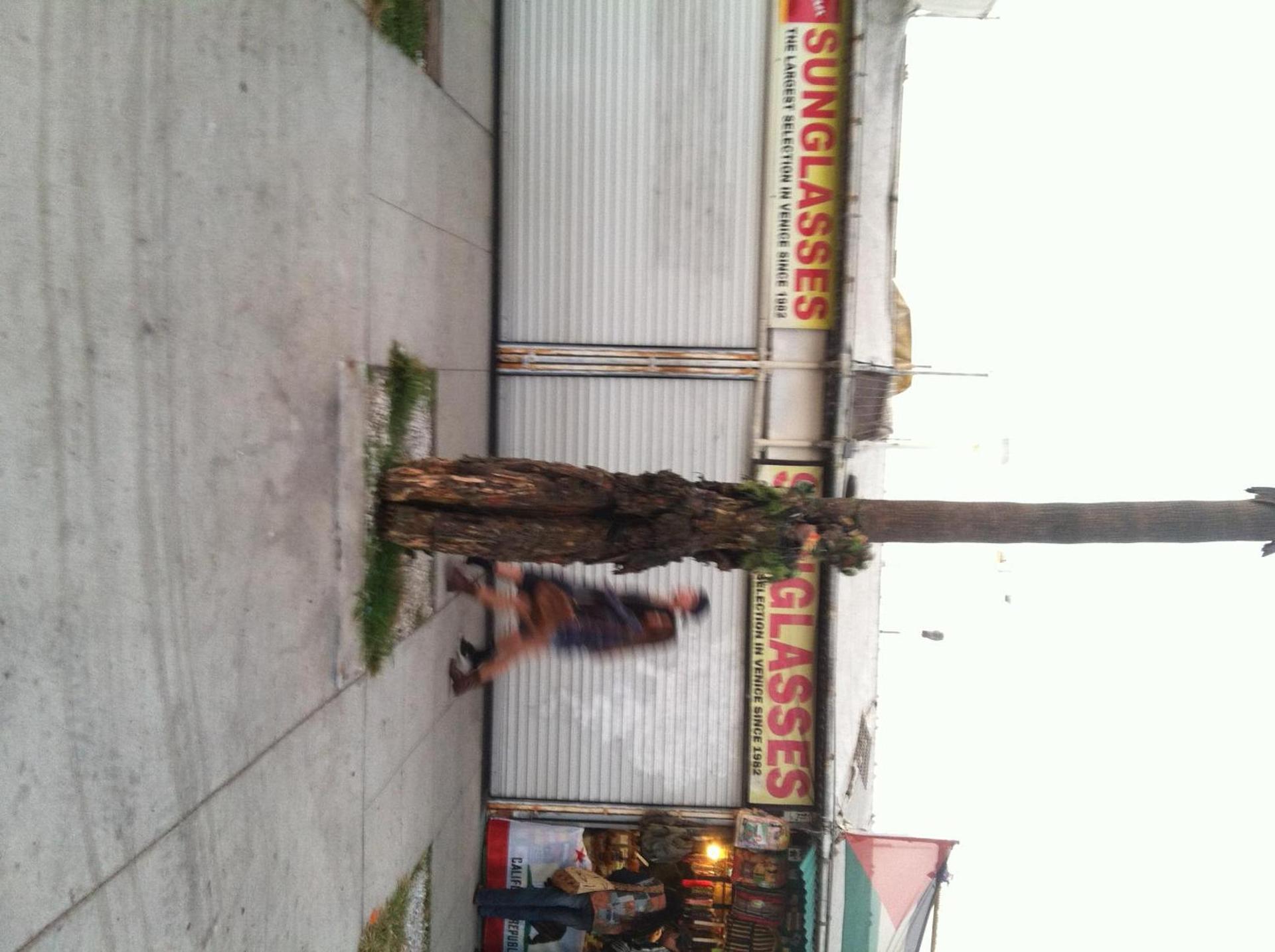Venice Beach Hostel photo 98