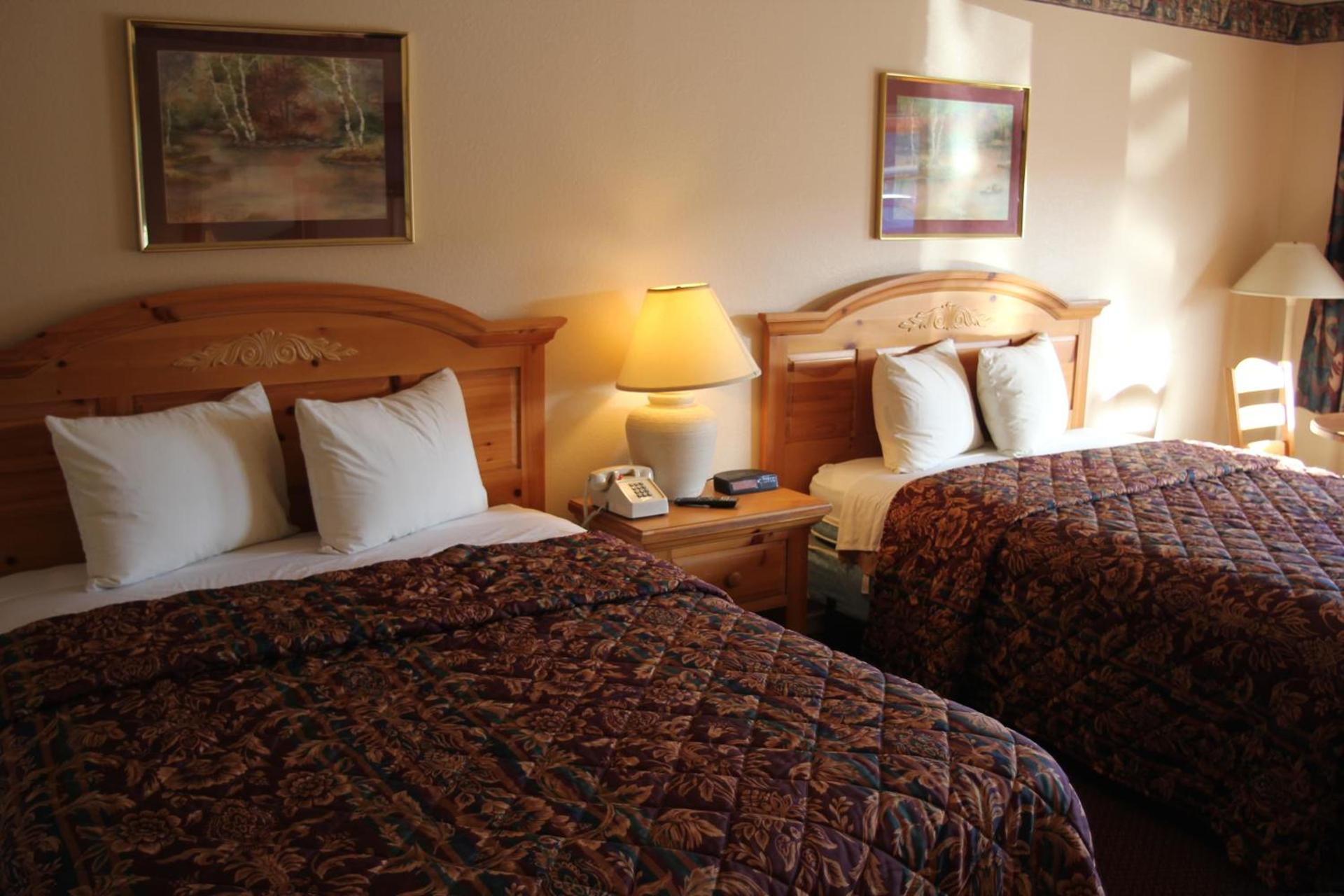 Lakeside inn & suites by OYO Mathis I 37 photo 25