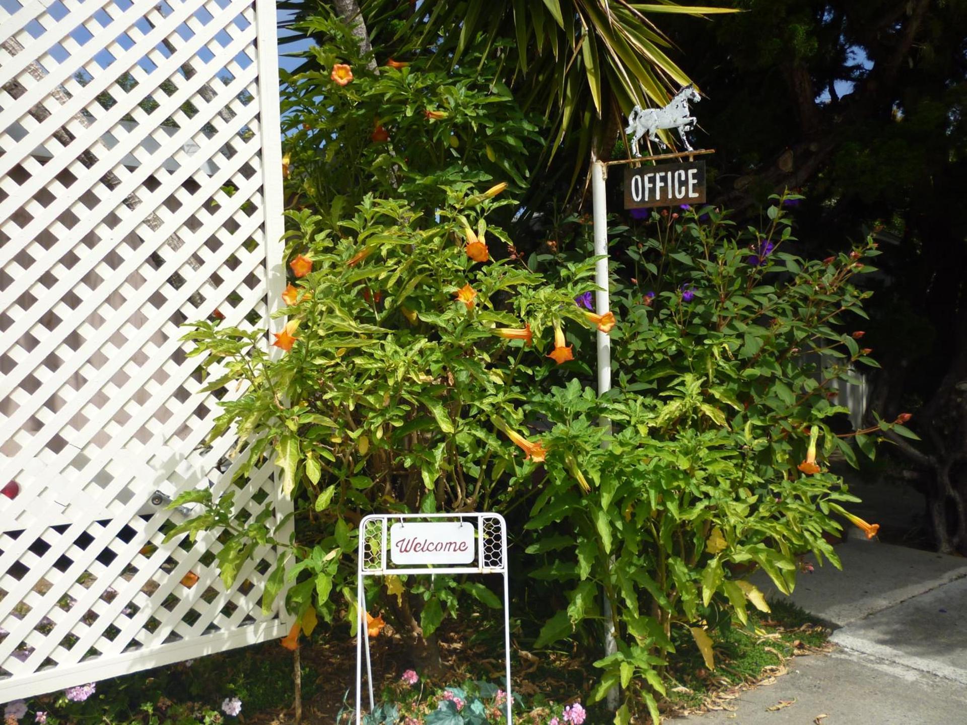 Harbor Inn photo 50
