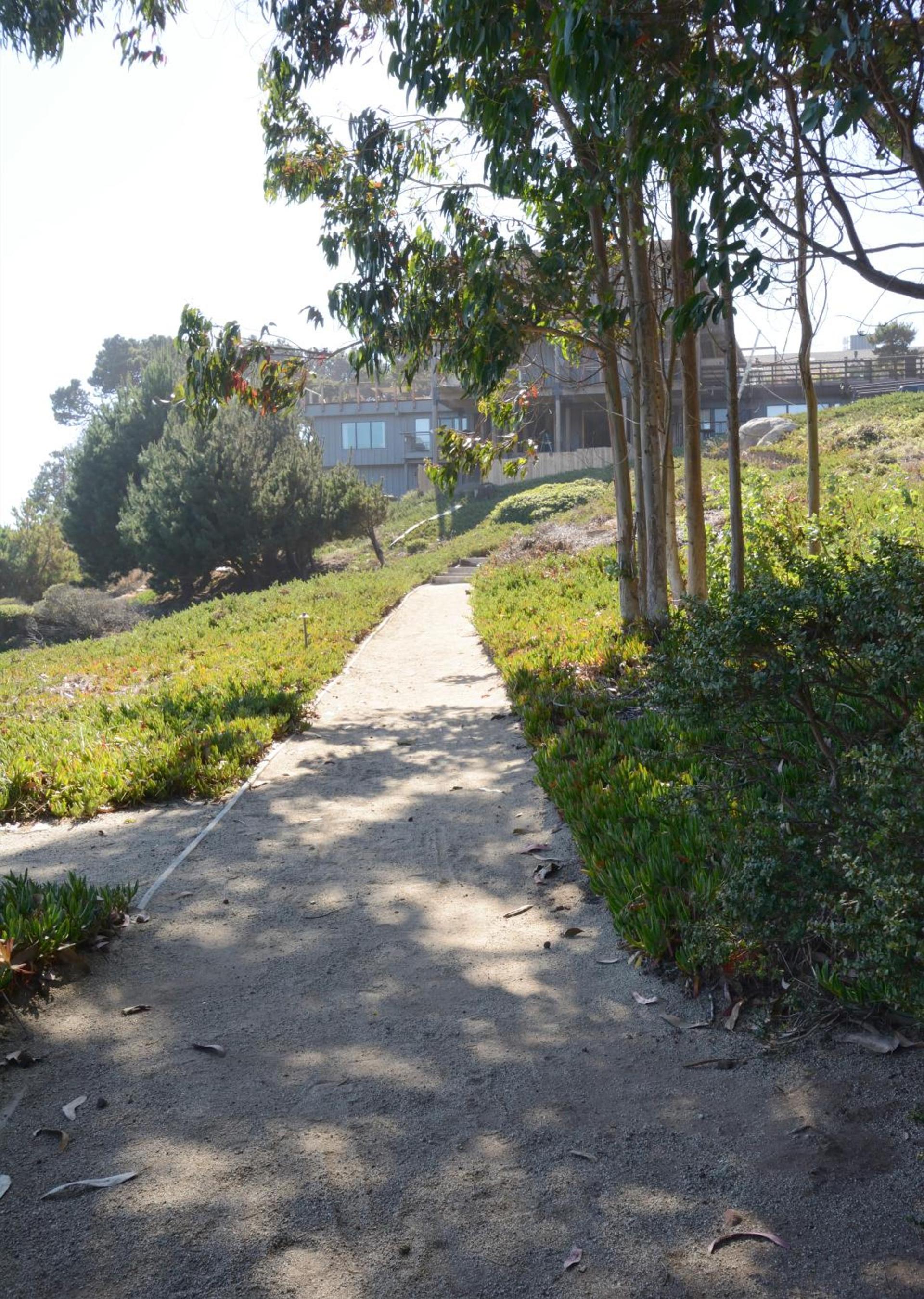Timber Cove Resort photo 90