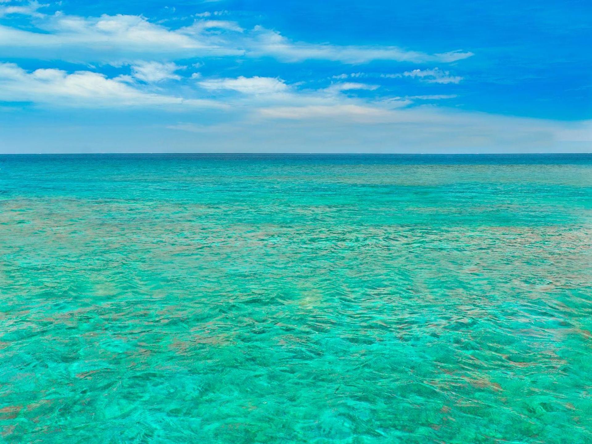 Hilton Key West Resort & Marina photo 43