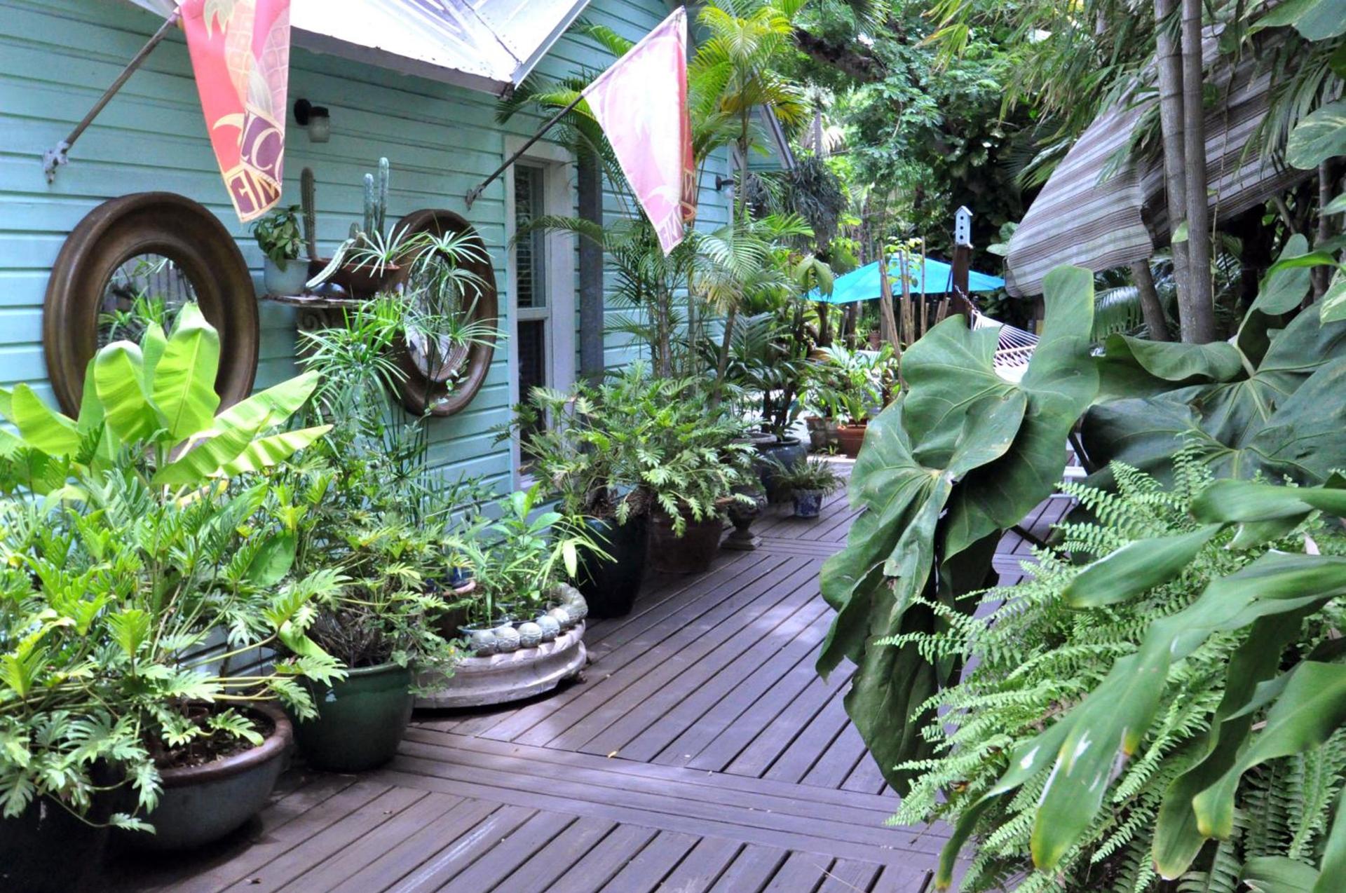 Pineapple Point Guesthouse & Resort - Gay Men's Resort photo 12