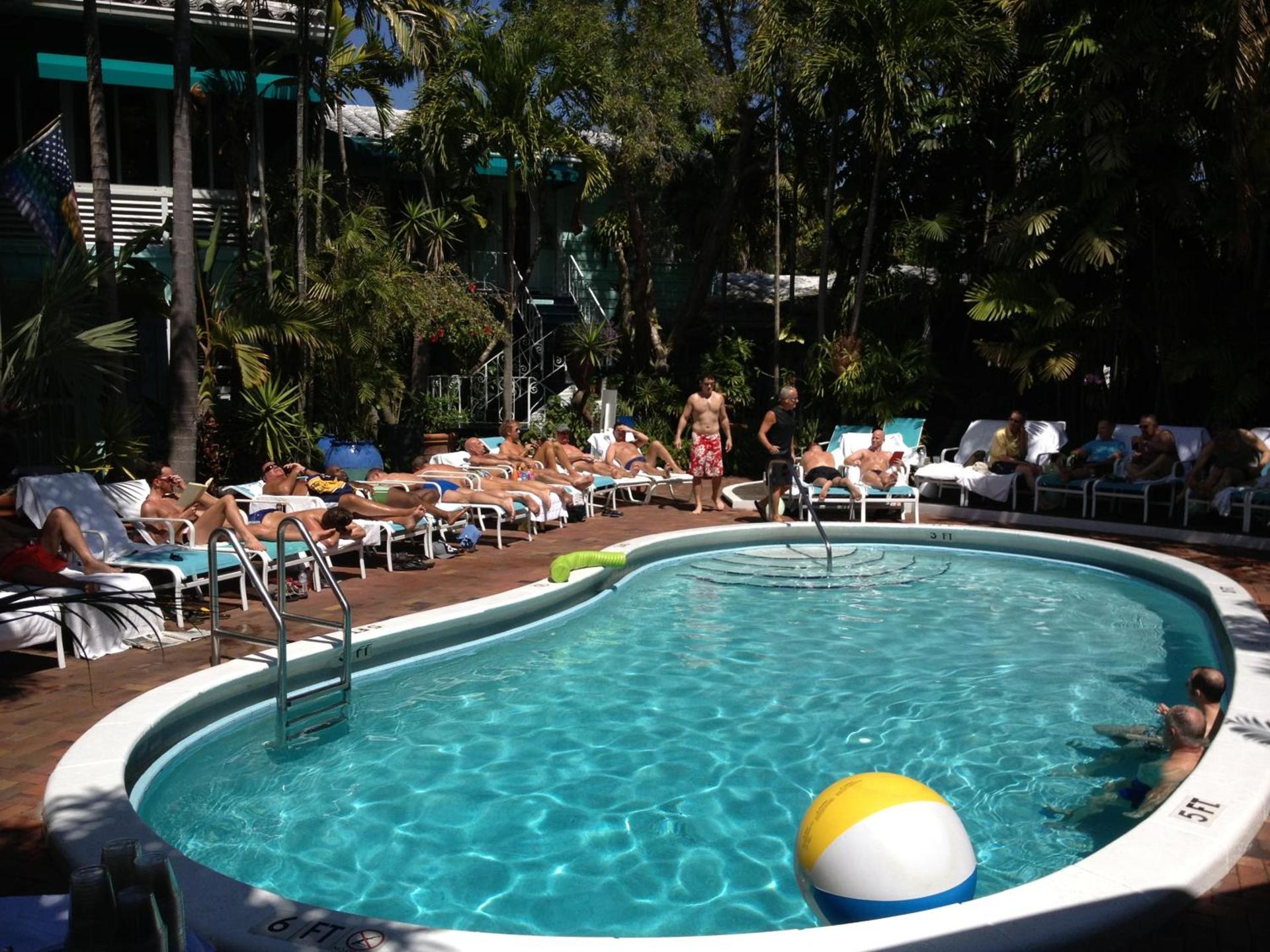 Pineapple Point Guesthouse & Resort - Gay Men's Resort photo 1