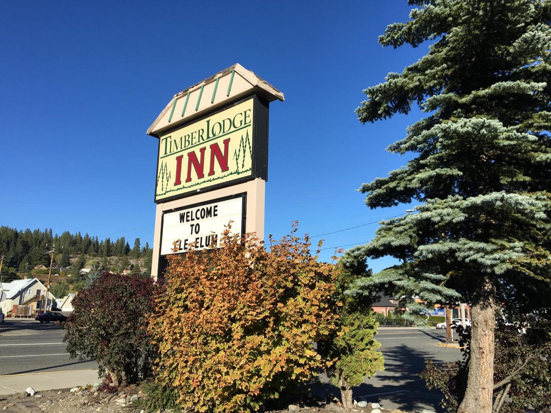 Timber Lodge Inn photo 17