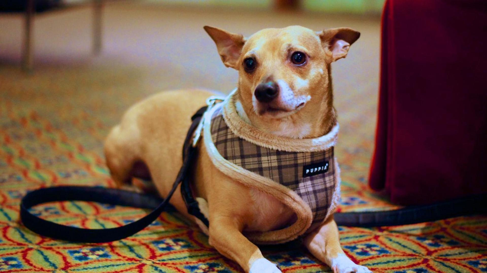 Heritage Hotel Lancaster photo 34