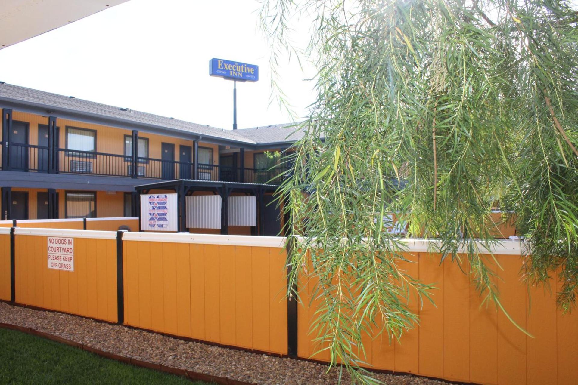 The Executive Inn & Suites photo 15