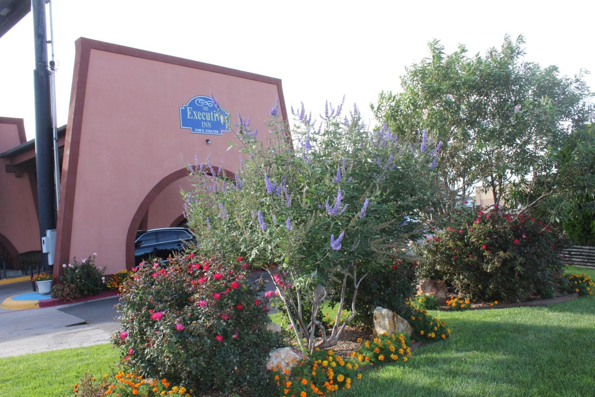 The Executive Inn & Suites photo 38