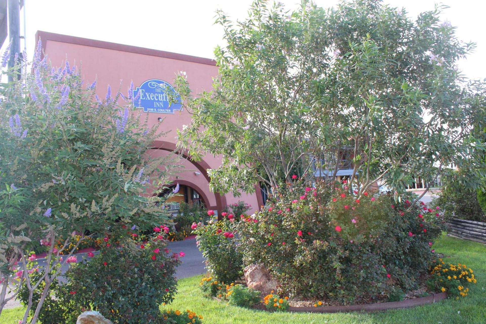 The Executive Inn & Suites photo 40