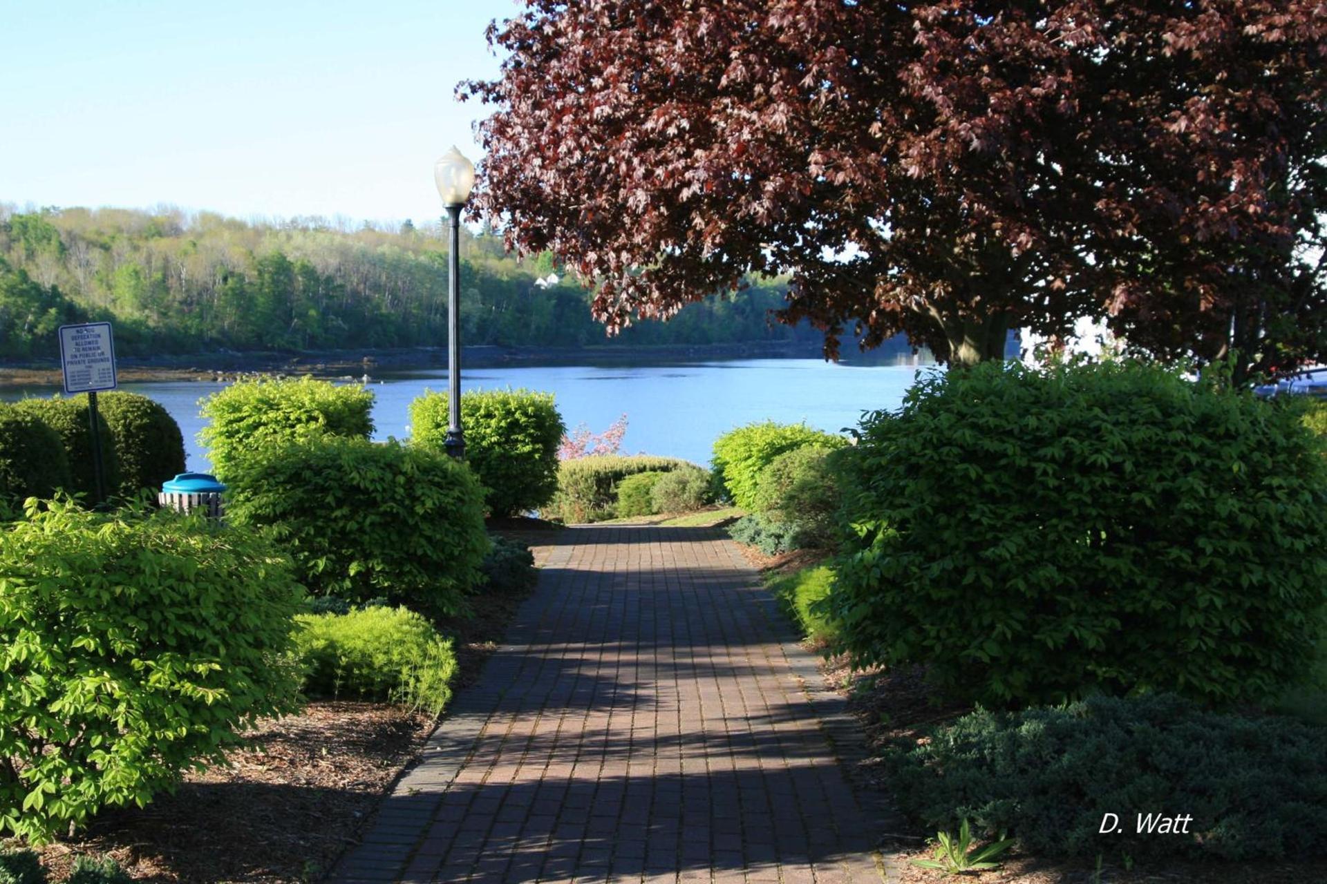 Bucksport Inn photo 49