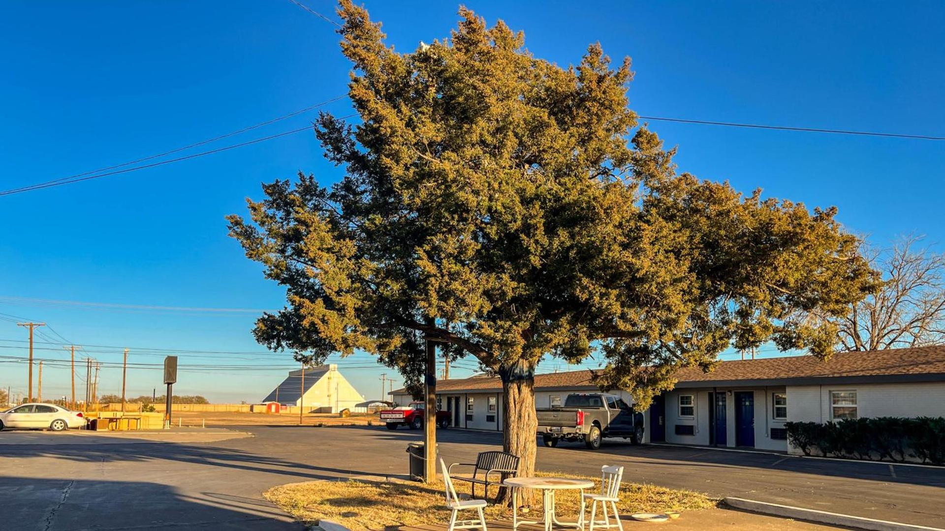 Motel 6 - Lamesa, TX photo 50