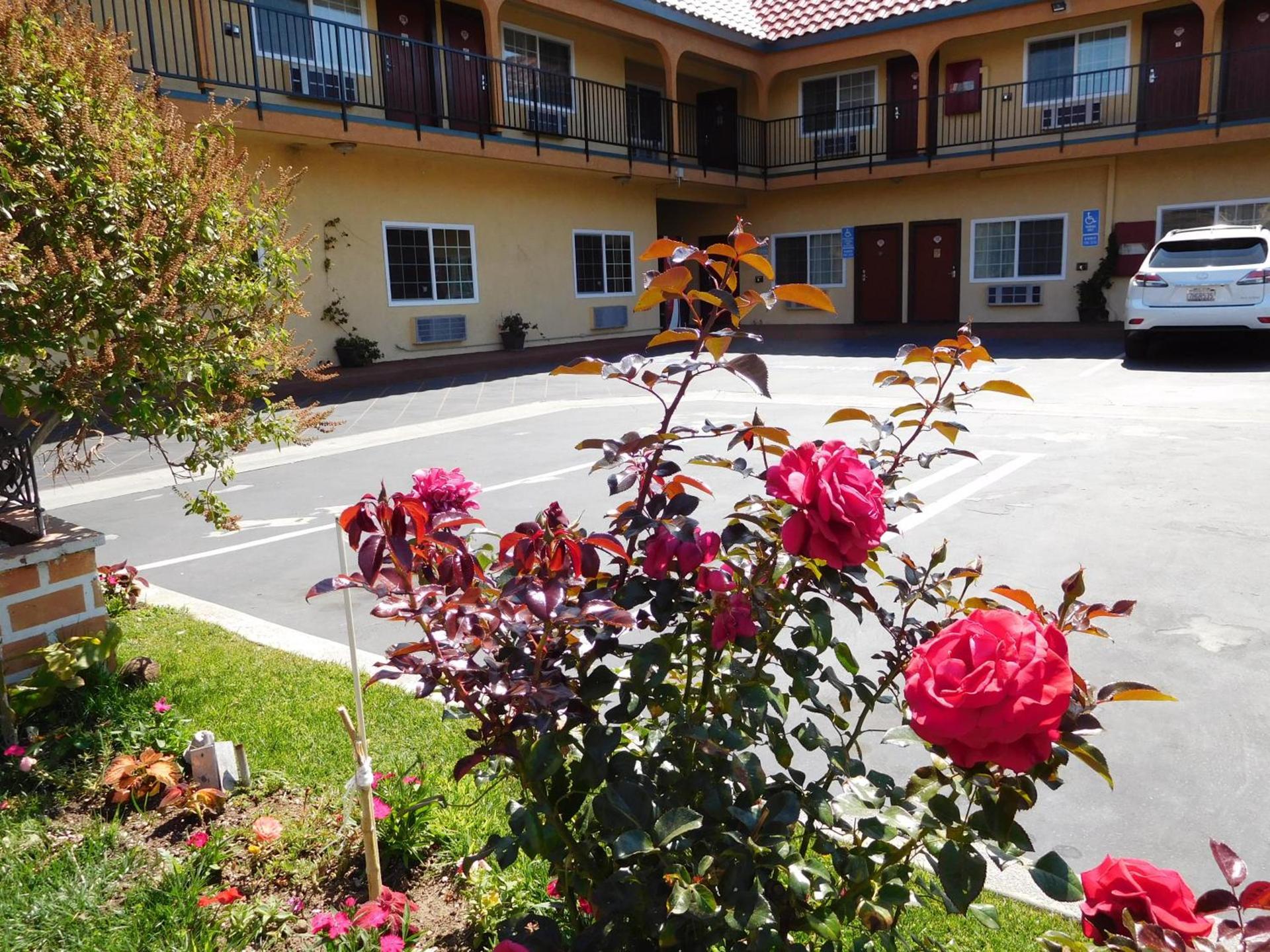 Diamond Inn photo 14