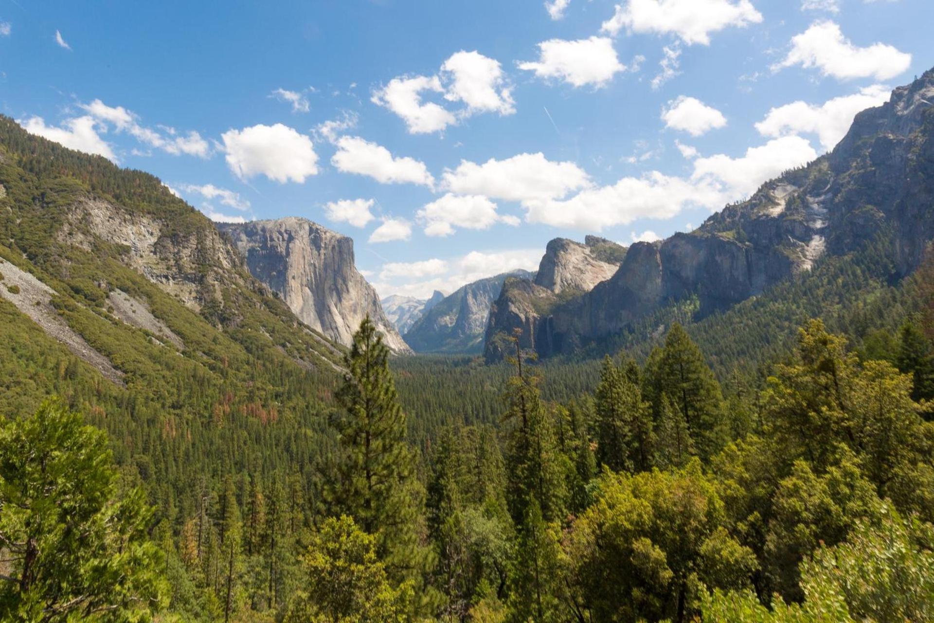 Rush Creek Lodge at Yosemite photo 26