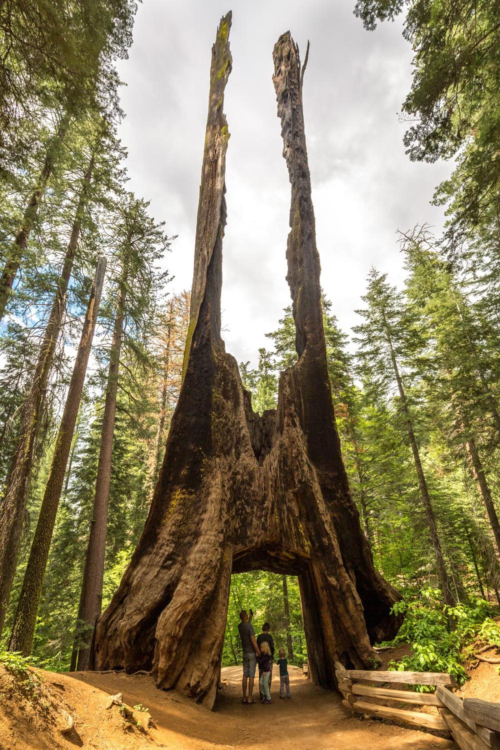 Rush Creek Lodge at Yosemite photo 28