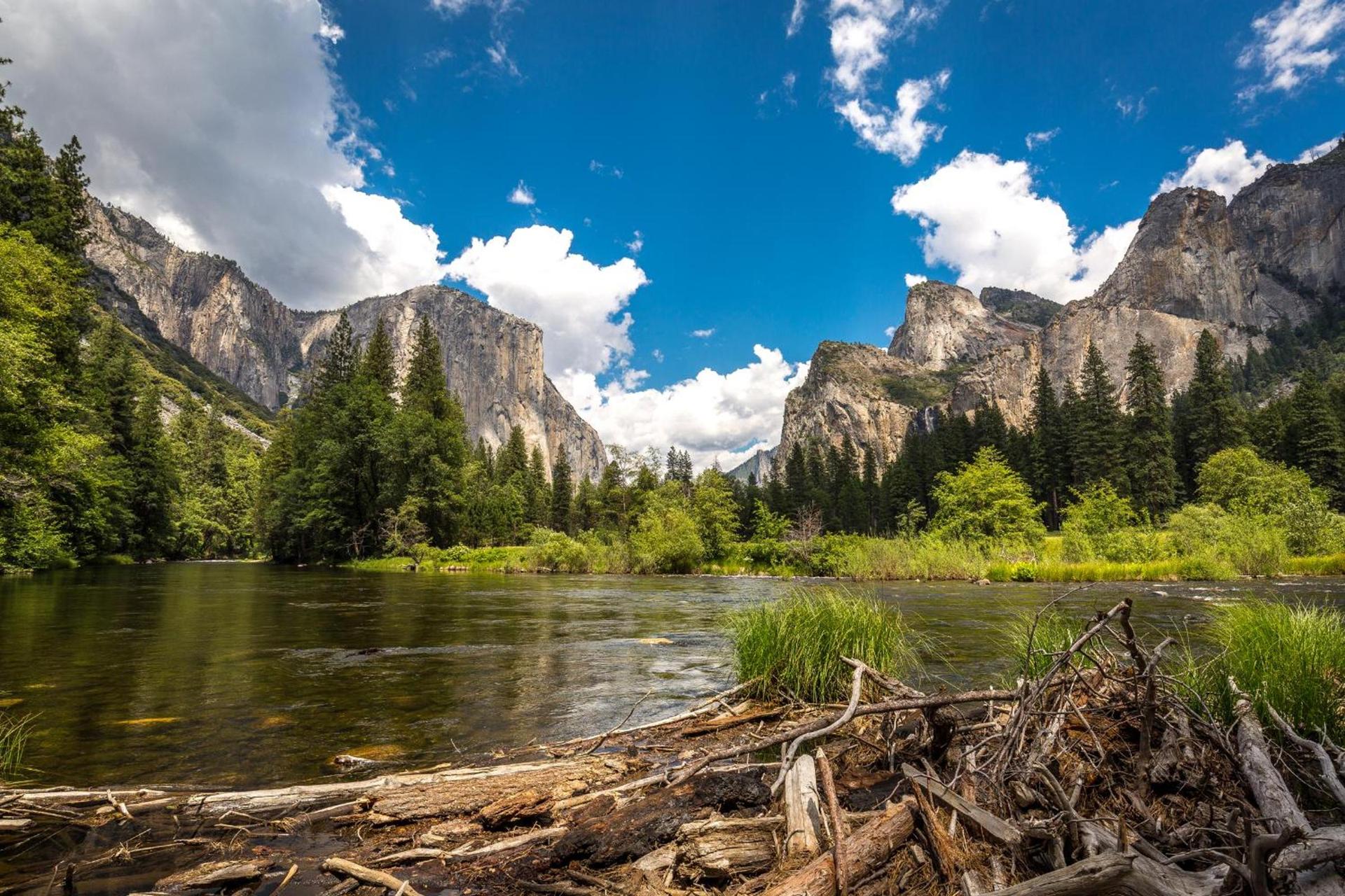 Rush Creek Lodge at Yosemite photo 29