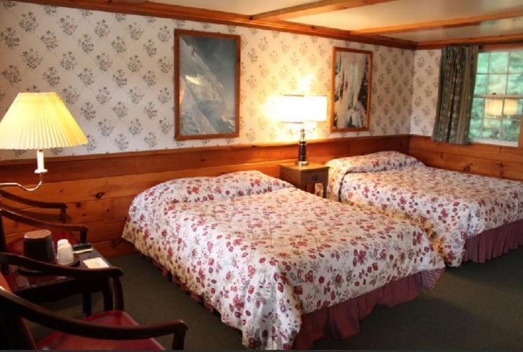 White Trellis Motel photo 16