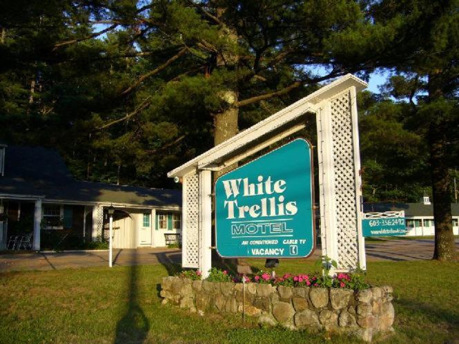 White Trellis Motel photo 8