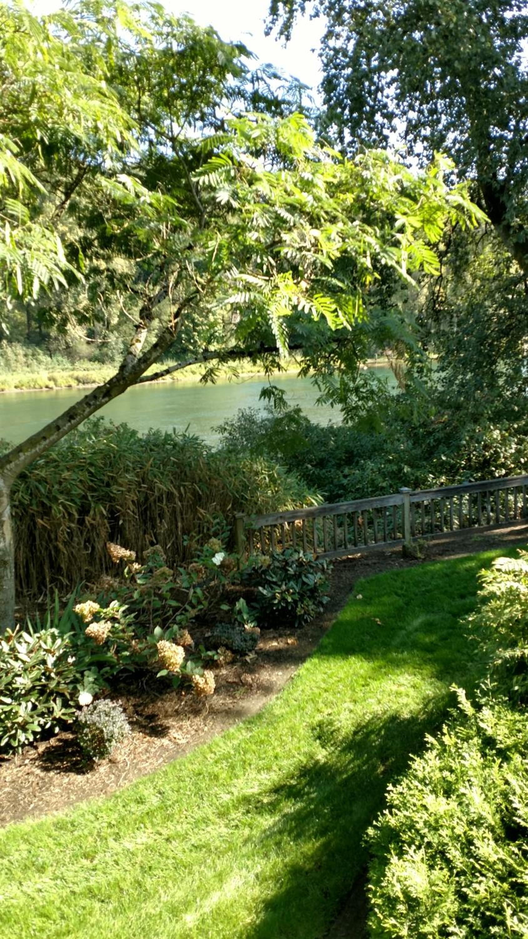 Lewis River Inn photo 13