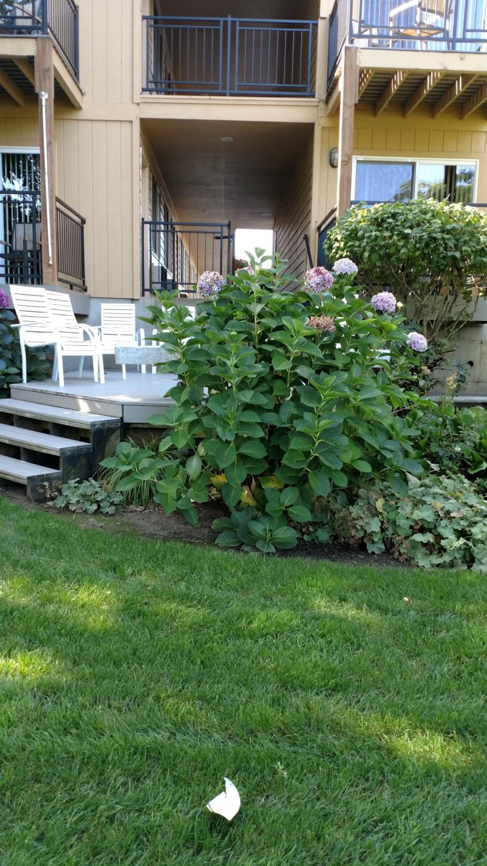 Lewis River Inn photo 27