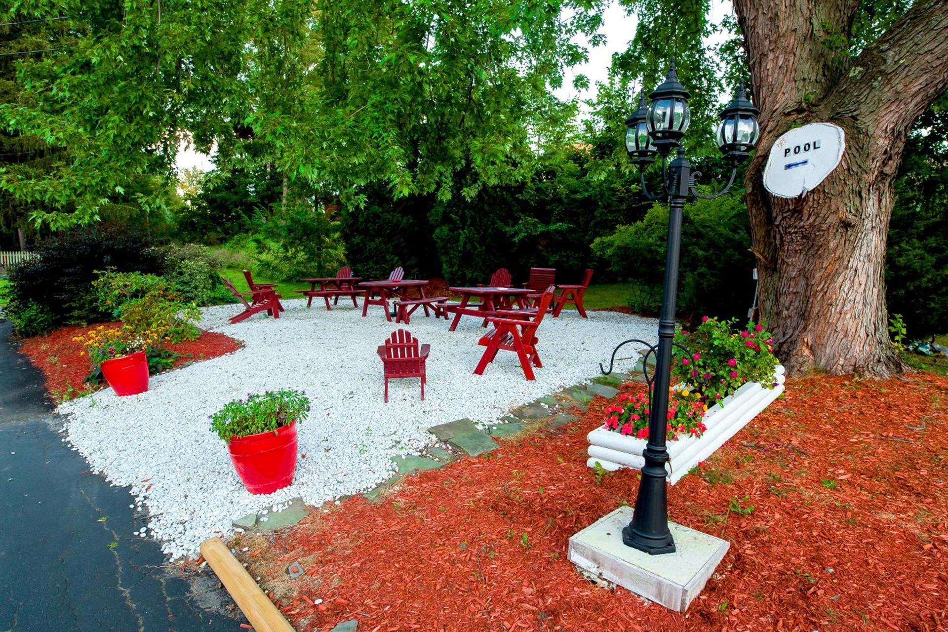 Willows Motel photo 33