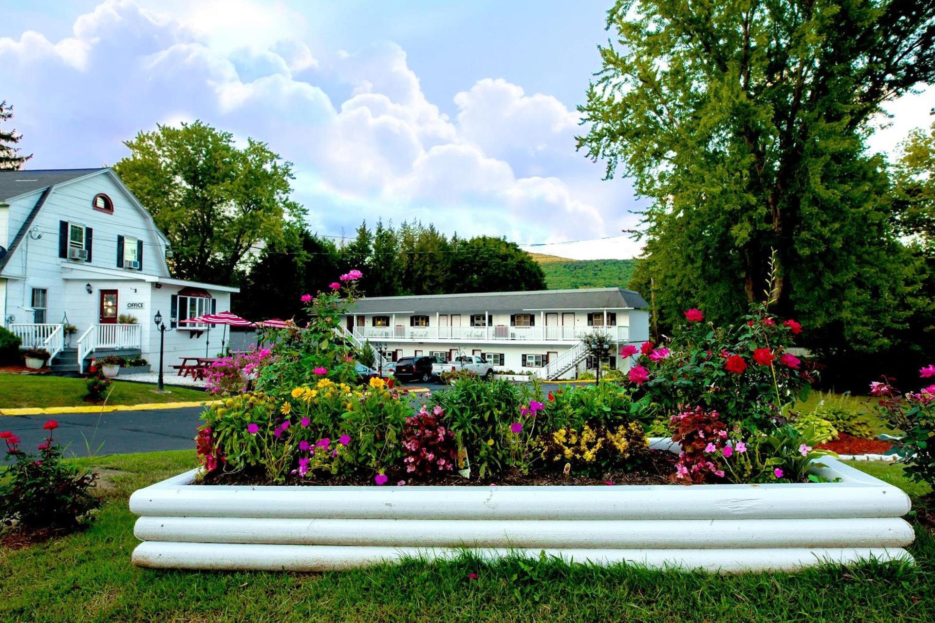 Willows Motel photo 13