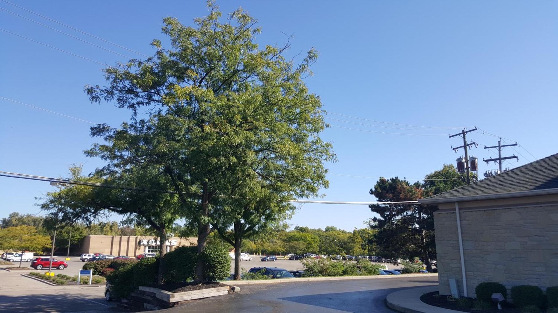 Motel 6-Columbus, OH - OSU photo 43