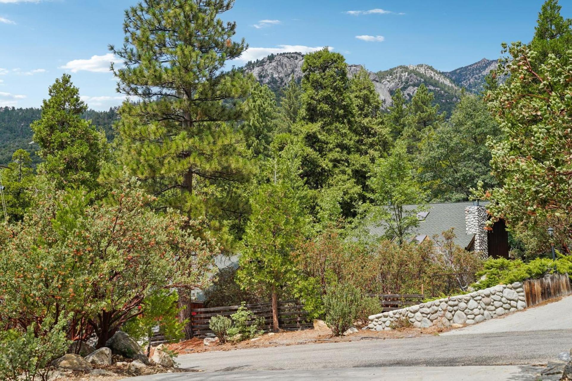 Idyllwild Realty Vacations photo 72