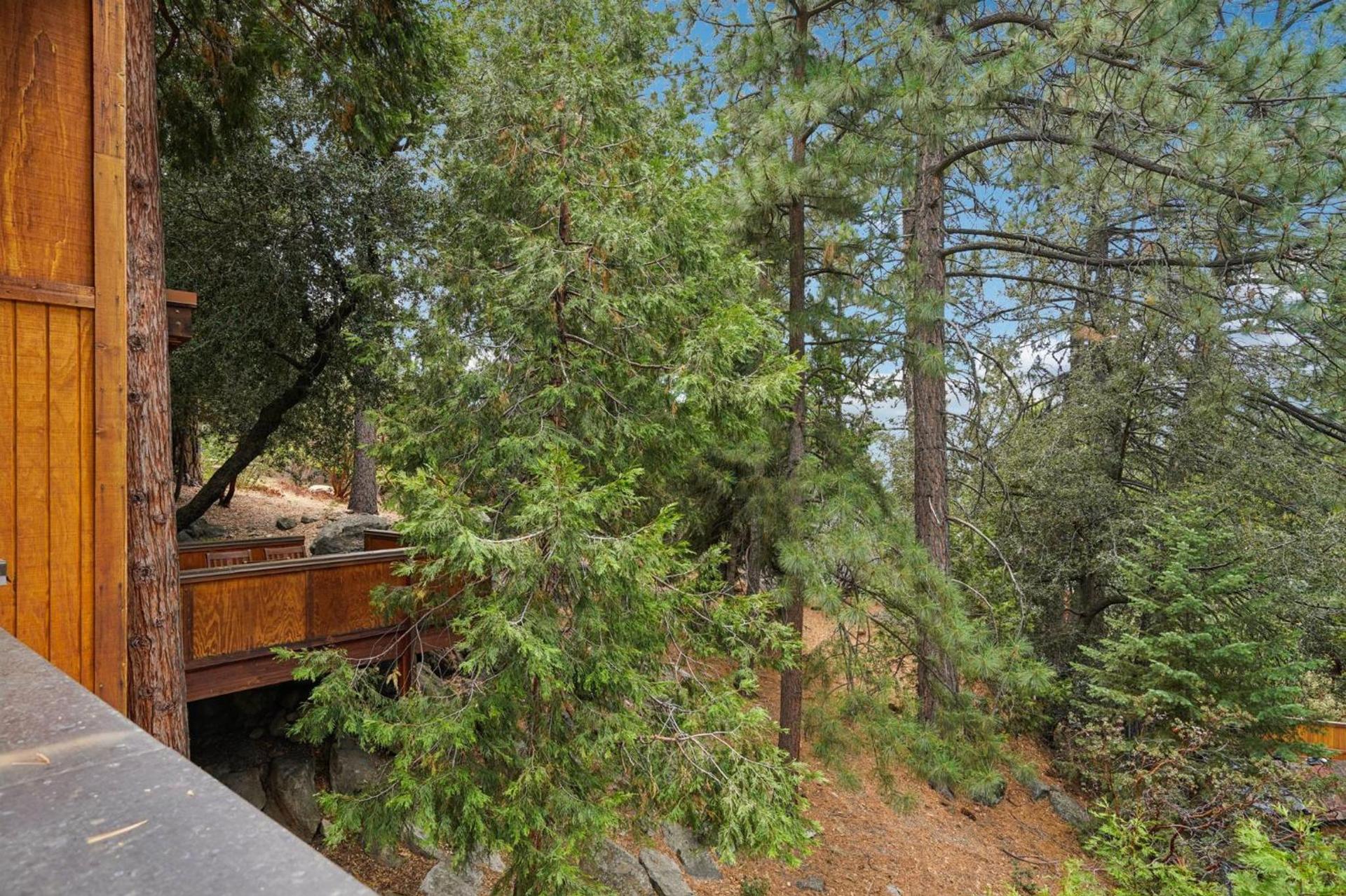Idyllwild Realty Vacations photo 70